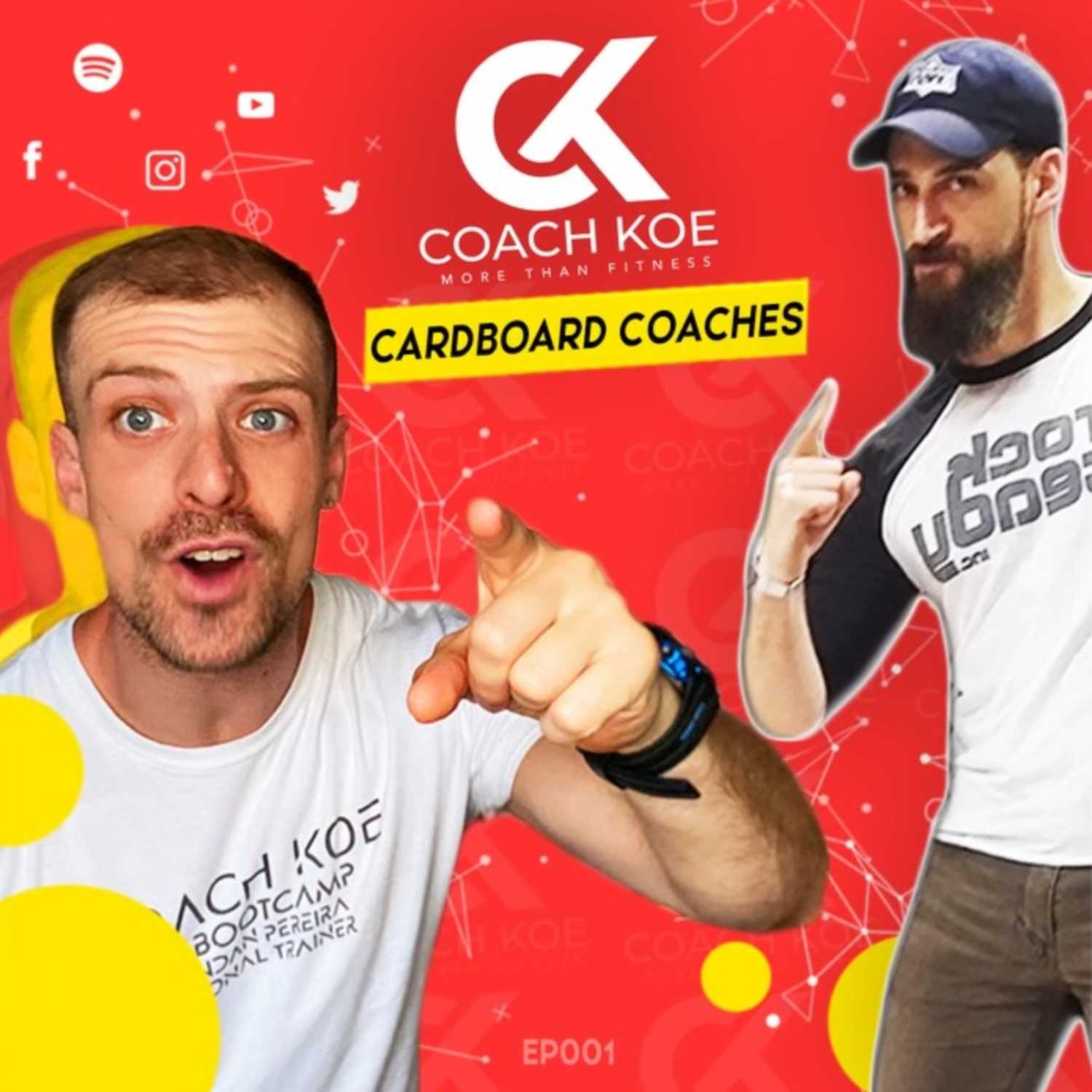 Cardboard Coach