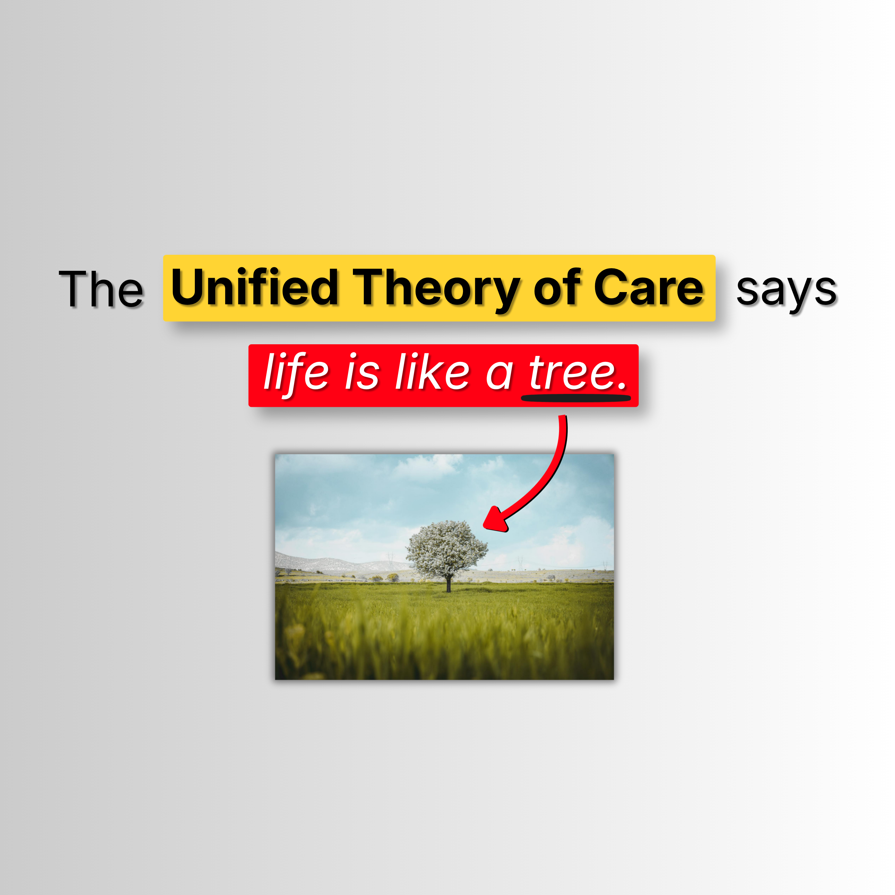 The Unified Theory of Care: a framework for how life works episode artwork