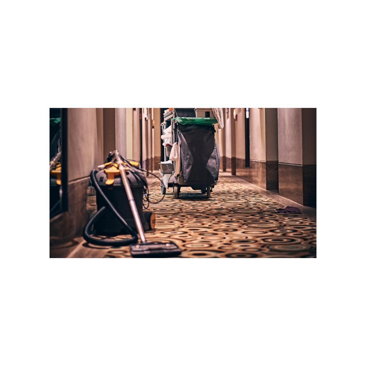 Retail Cleaning Elevating New York Businesses