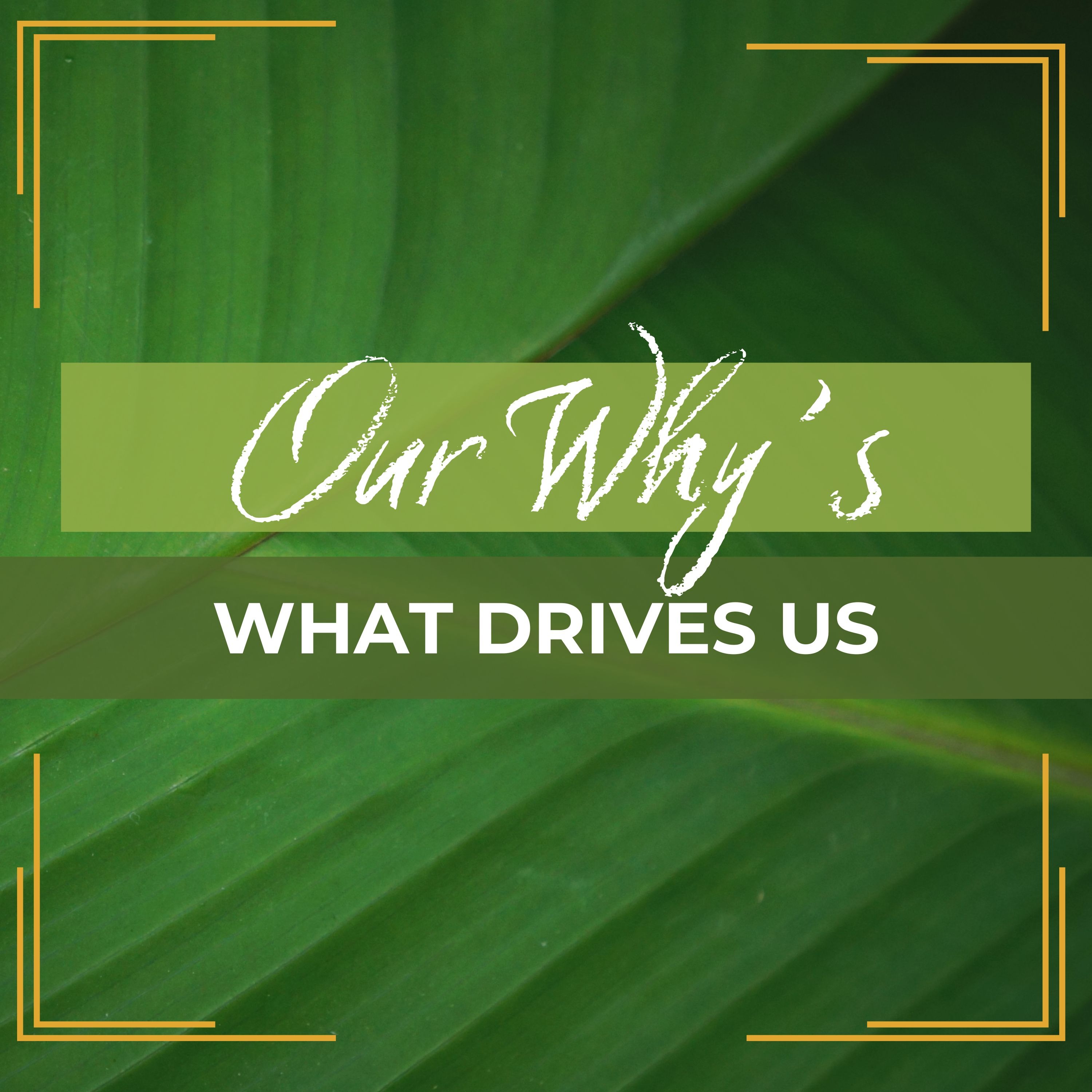 Our Why's: Why this podcast and why we do what we do! episode artwork