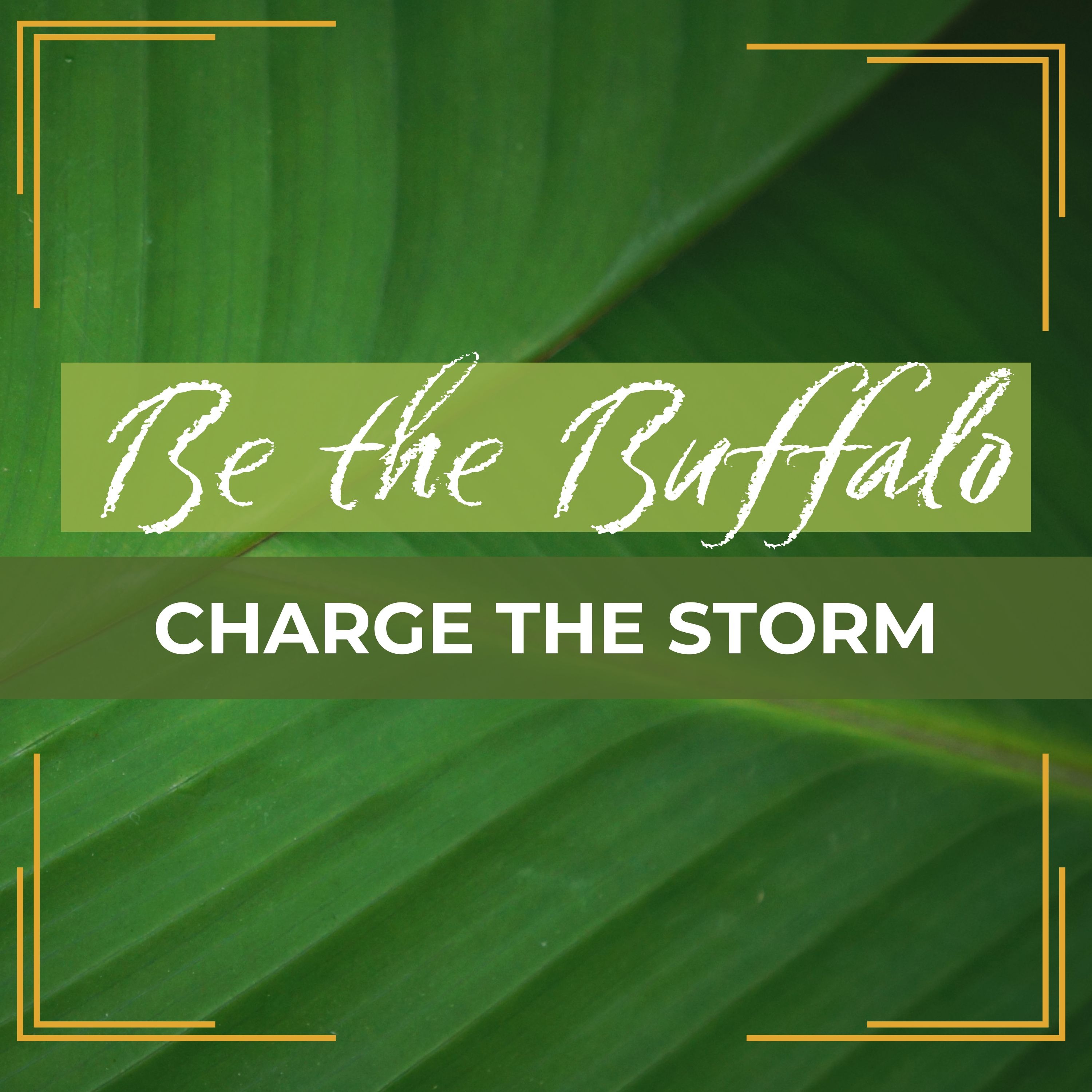 Be the Buffalo: Charge the Storm episode artwork