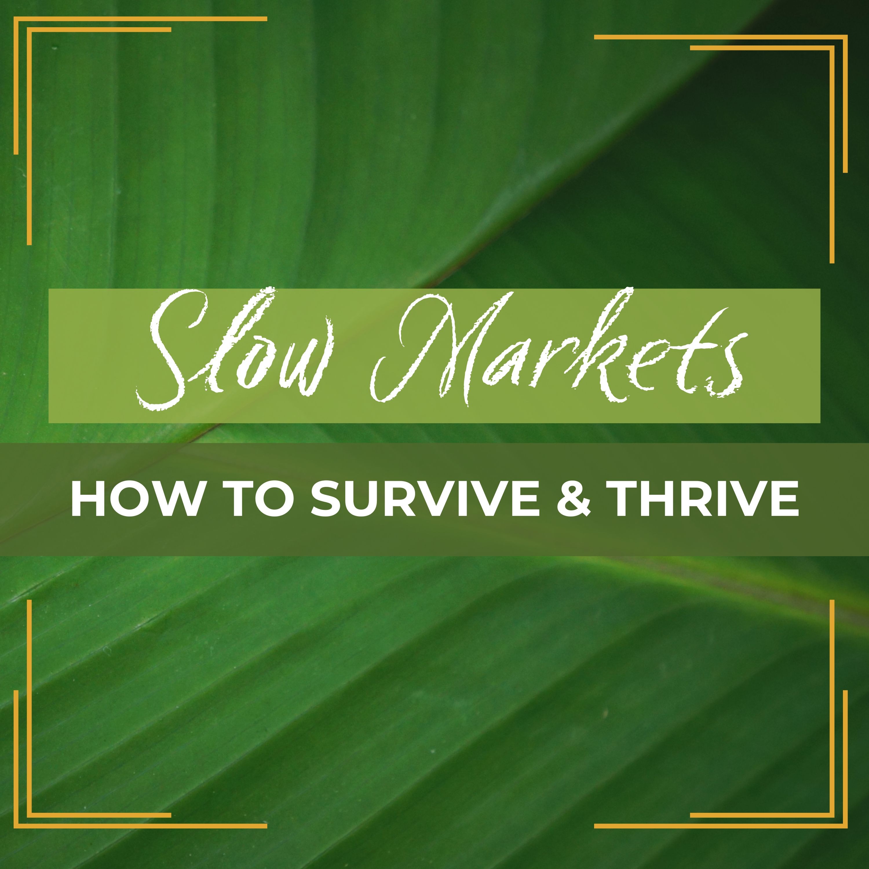 Slow Markets: How to Survive & Thrive episode artwork