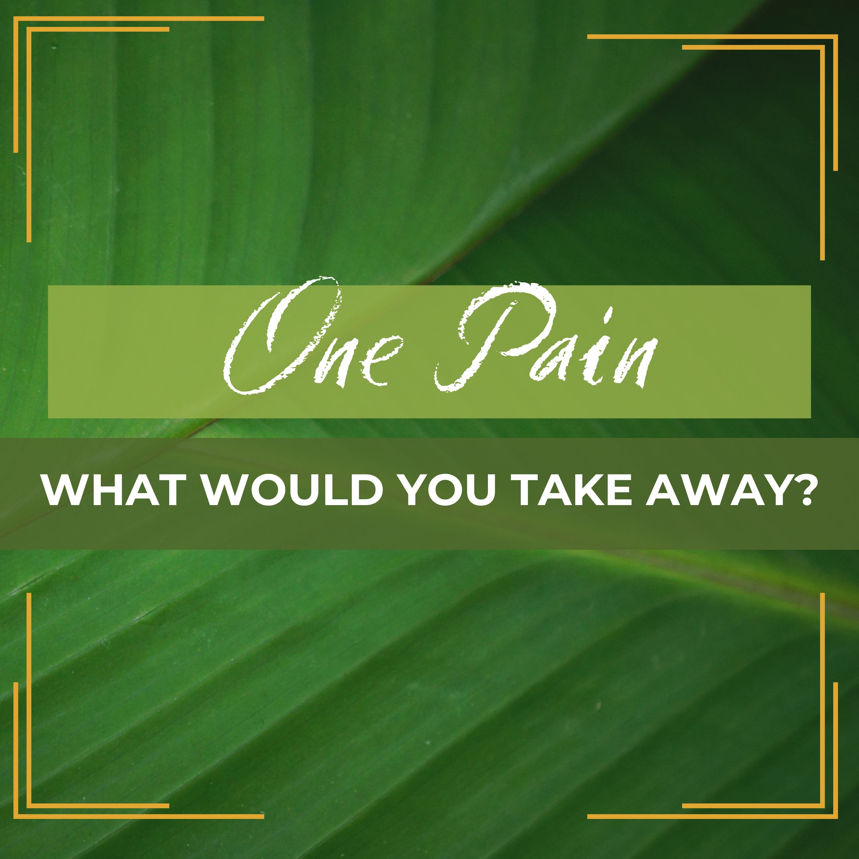 One Pain: One Pain From Your Spouse episode artwork