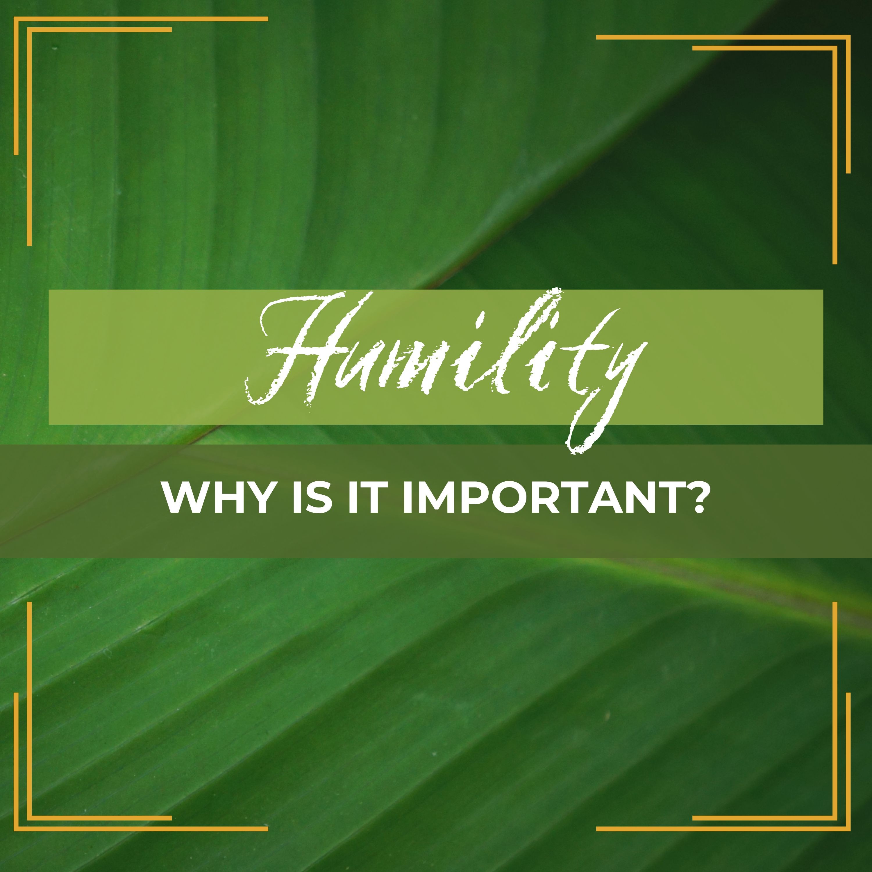 Humility: Why Is It Important? episode artwork