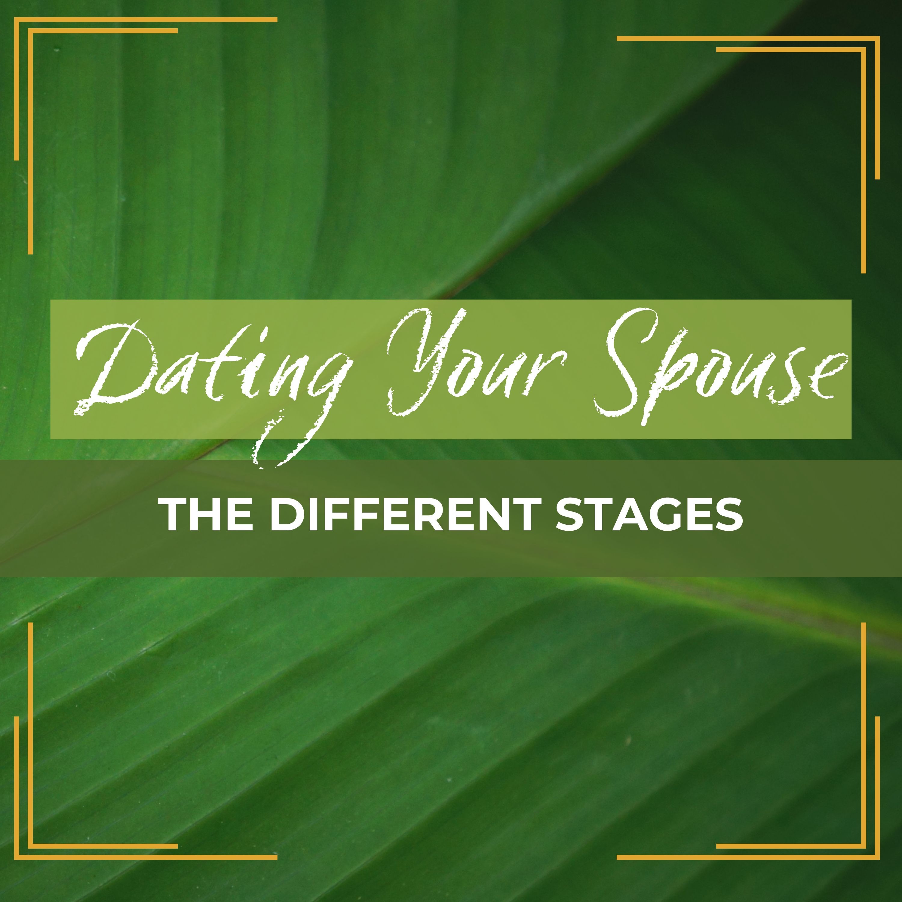 Dating Your Spouse: The Different Stages  episode artwork