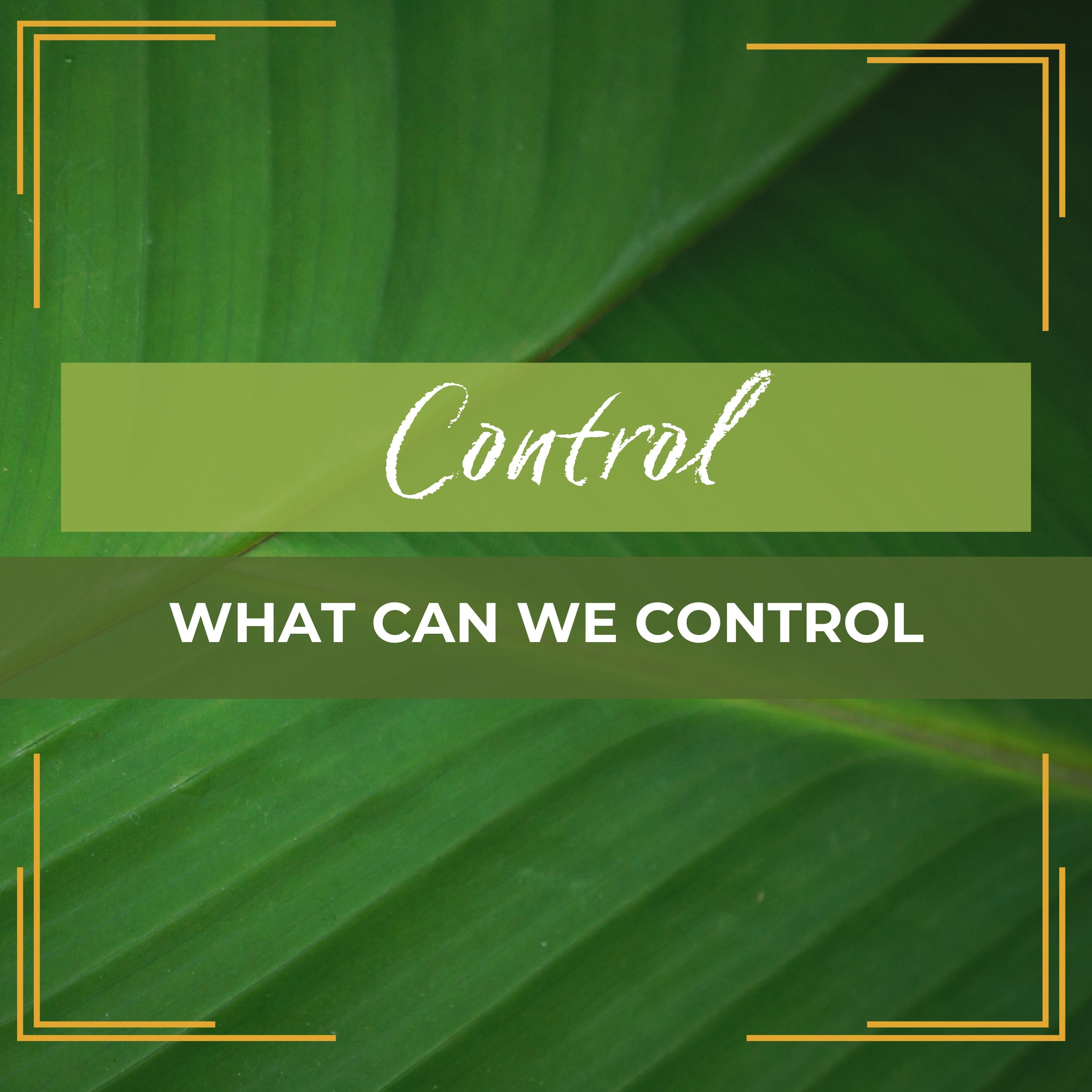 Control: What Can We Control episode artwork