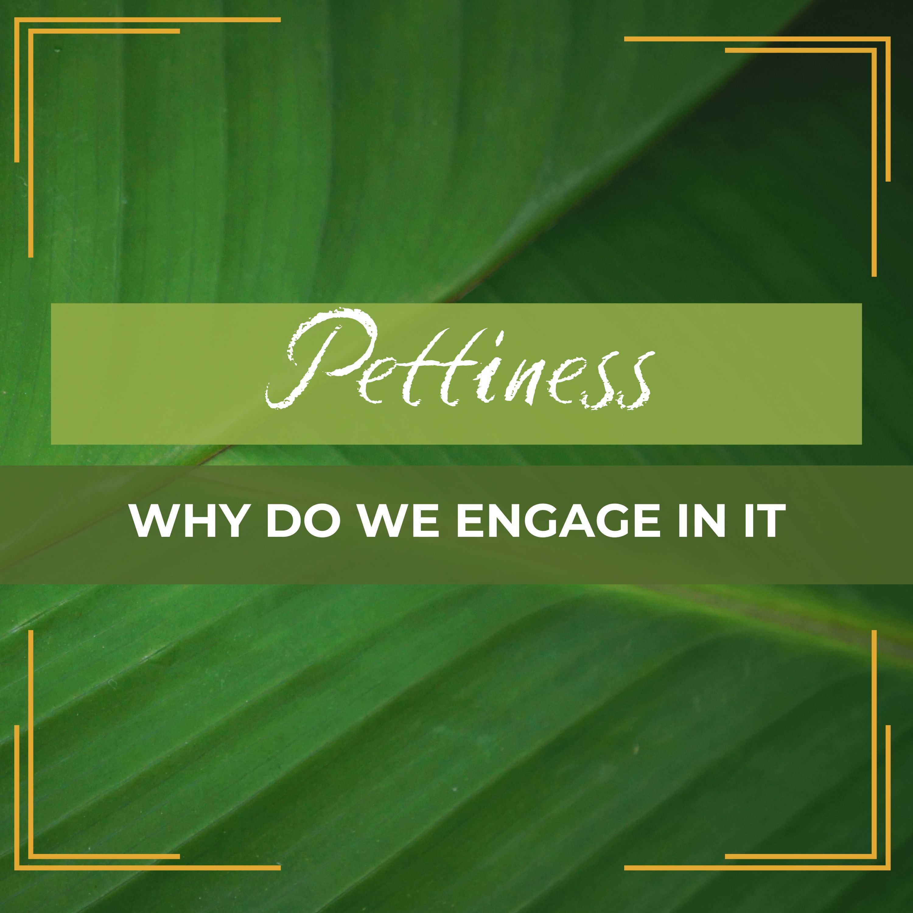 Pettiness: Why Do We Engage In It episode artwork