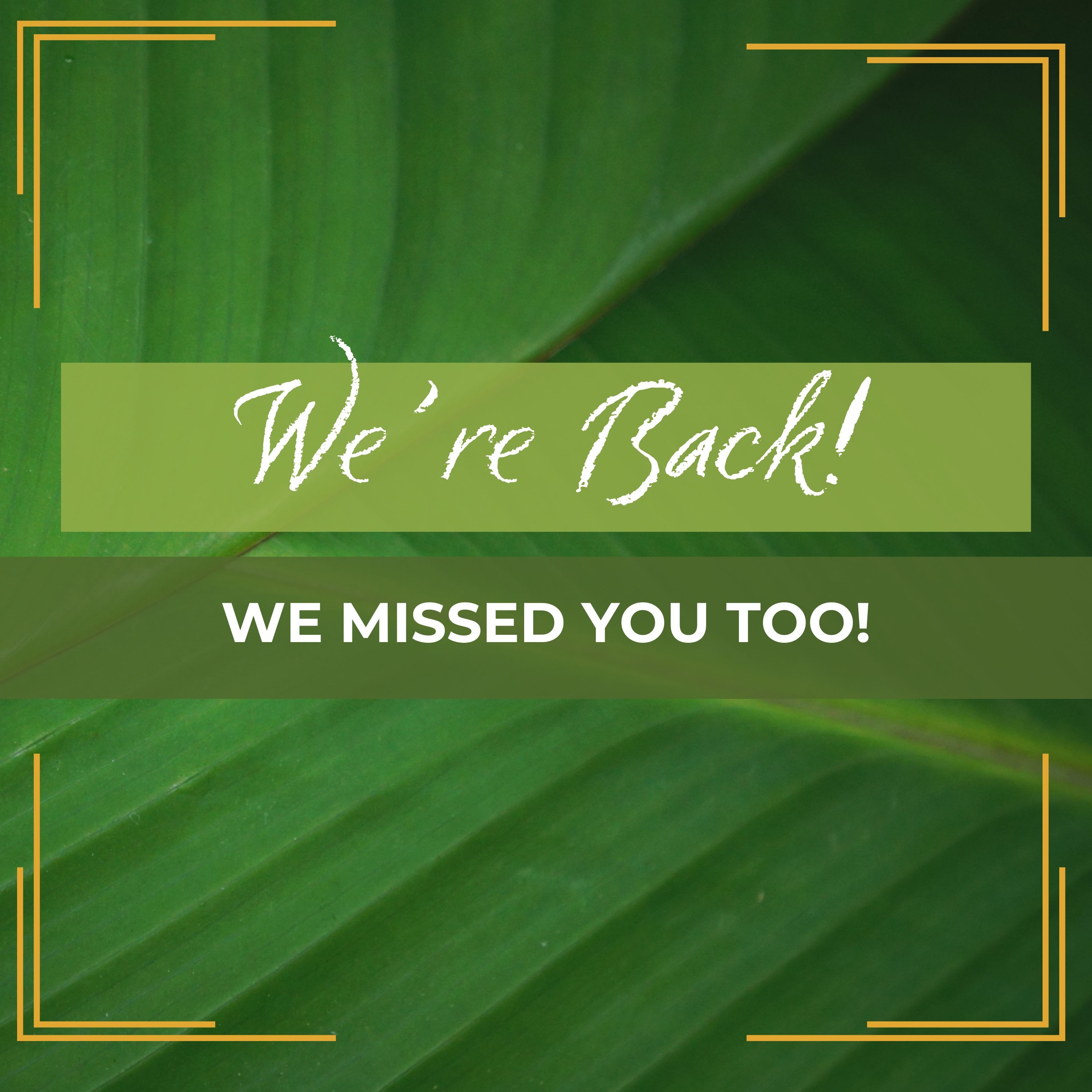 We're Back: We Missed You Too! episode artwork
