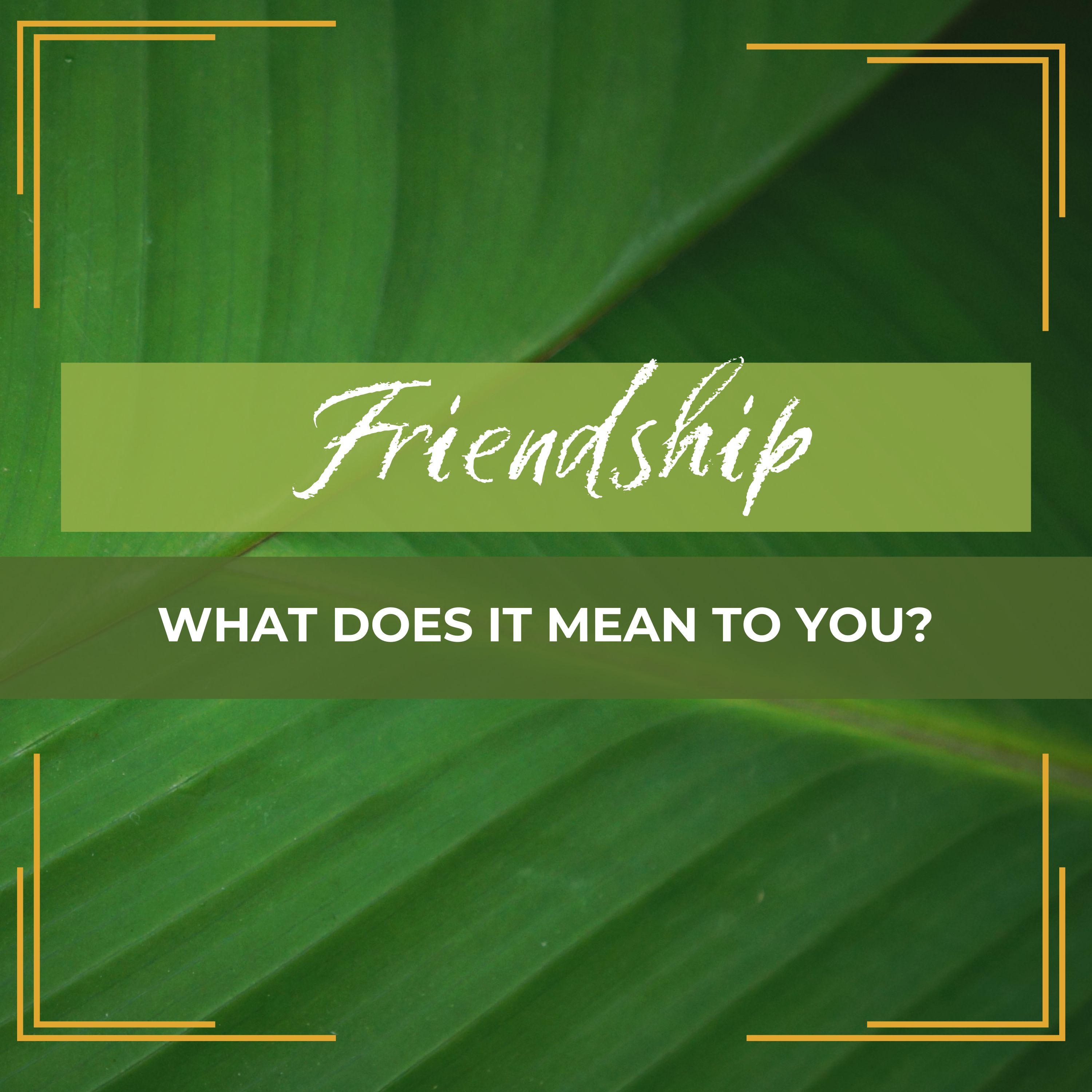 Casual Conversations | Friendship: What does it mean to you? episode artwork