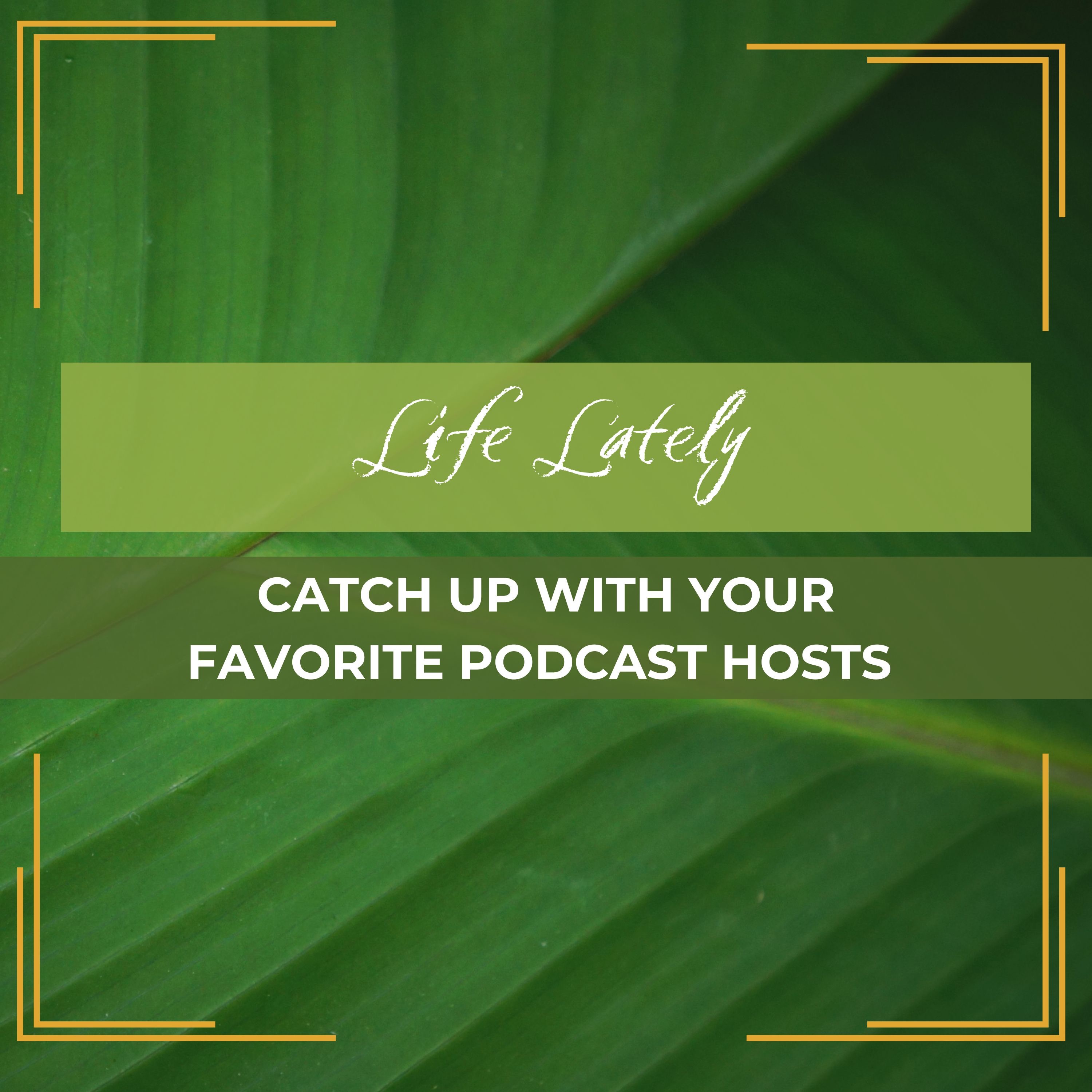 Casual Conversations | Life Lately - Catch Up With Your Favorite Podcast Hosts episode artwork