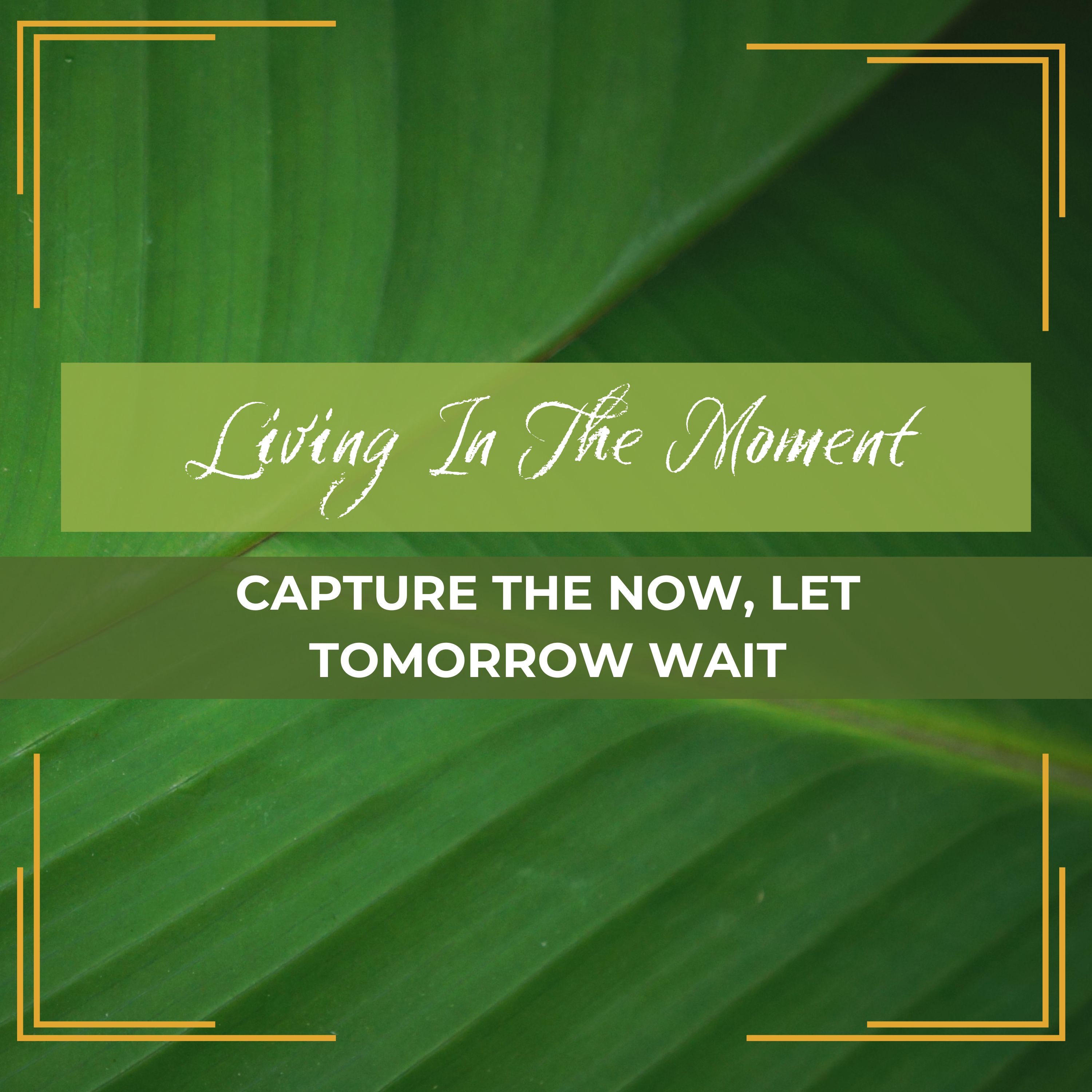 Casual Conversations | Living In The Moment - Capture the Now, Let Tomorrow Wait episode artwork