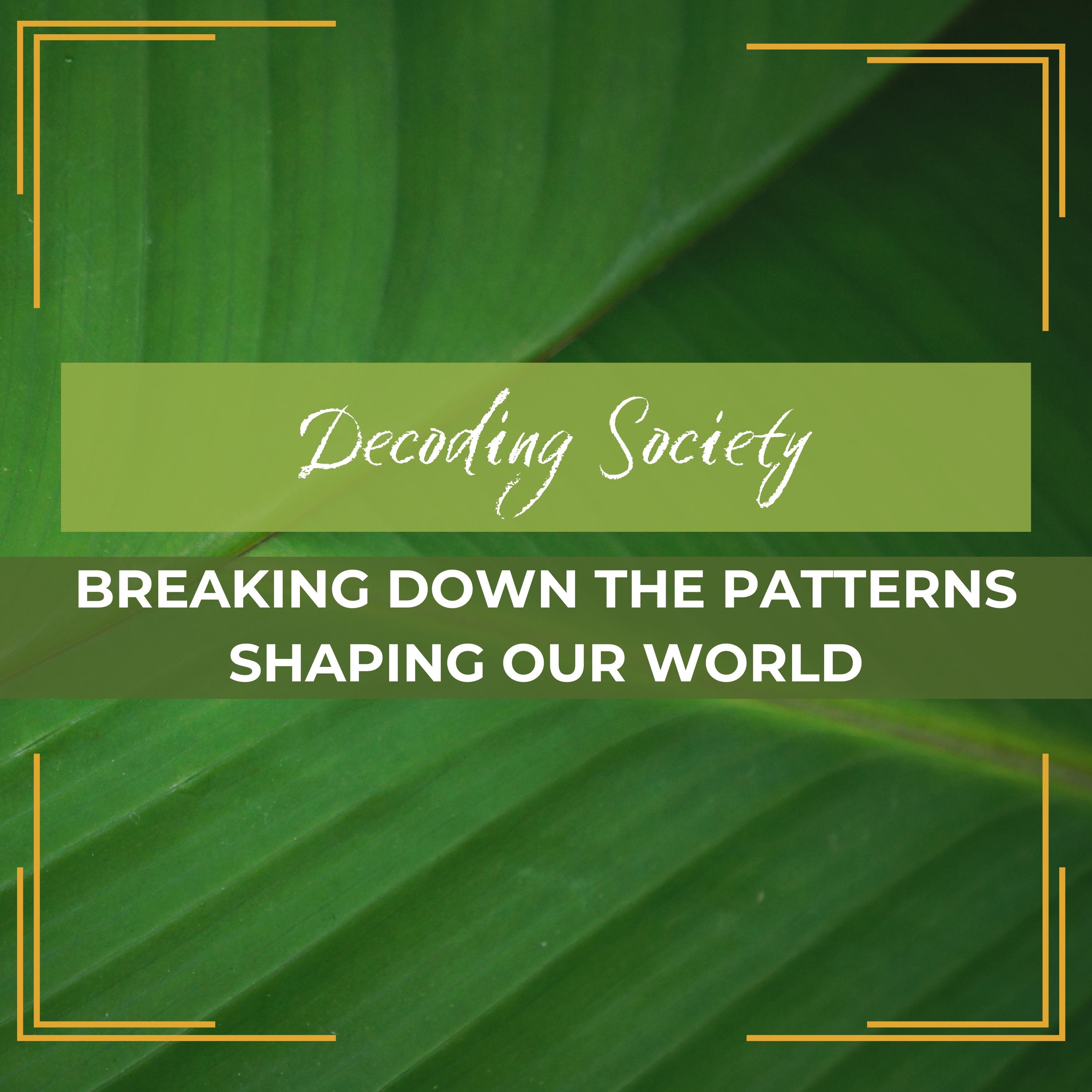 Casual Conversations | Decoding Society - Breaking Down The Patterns Shaping Our World episode artwork