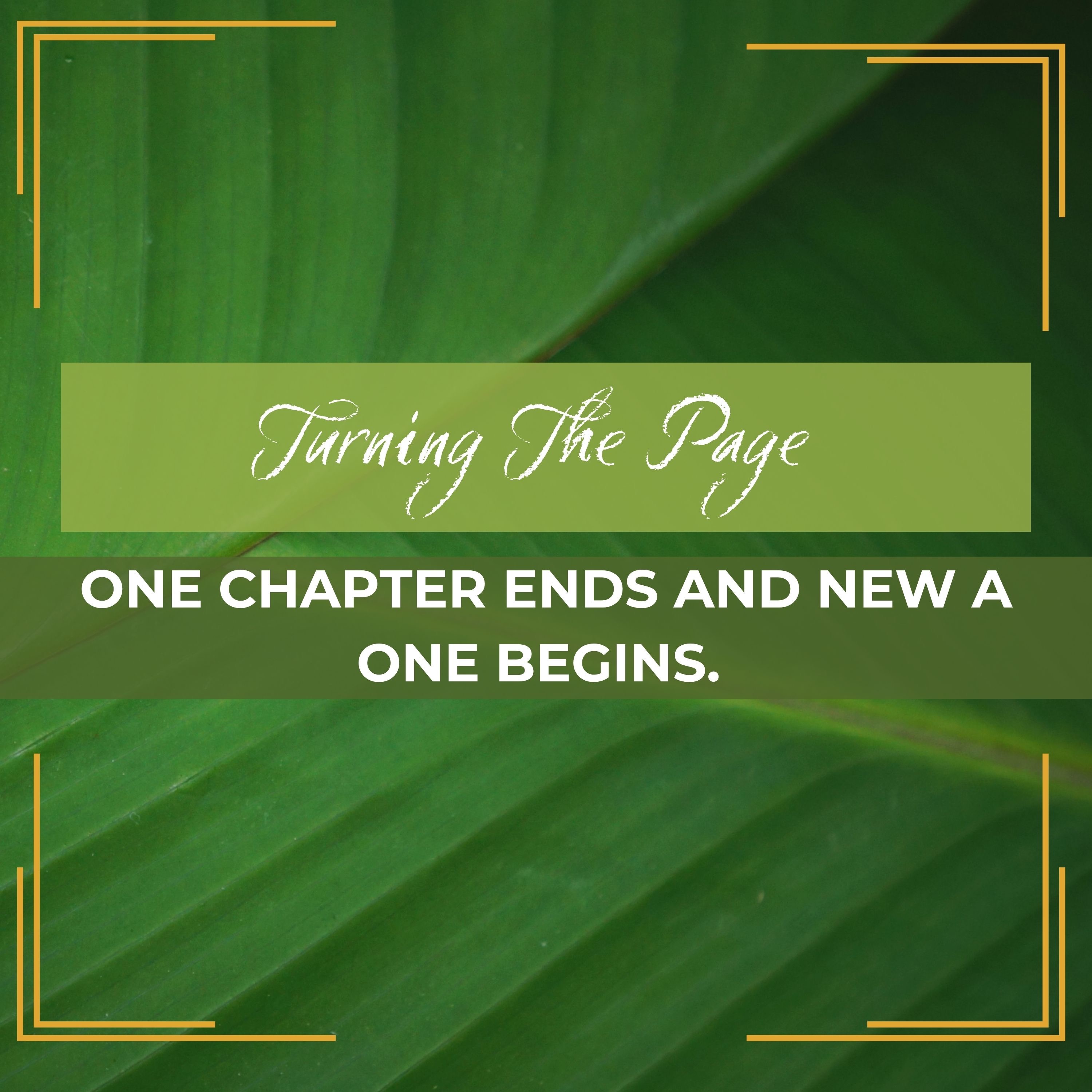 Casual Conversations | Turning The Page - One Chapter Ends & New A One Begins episode artwork