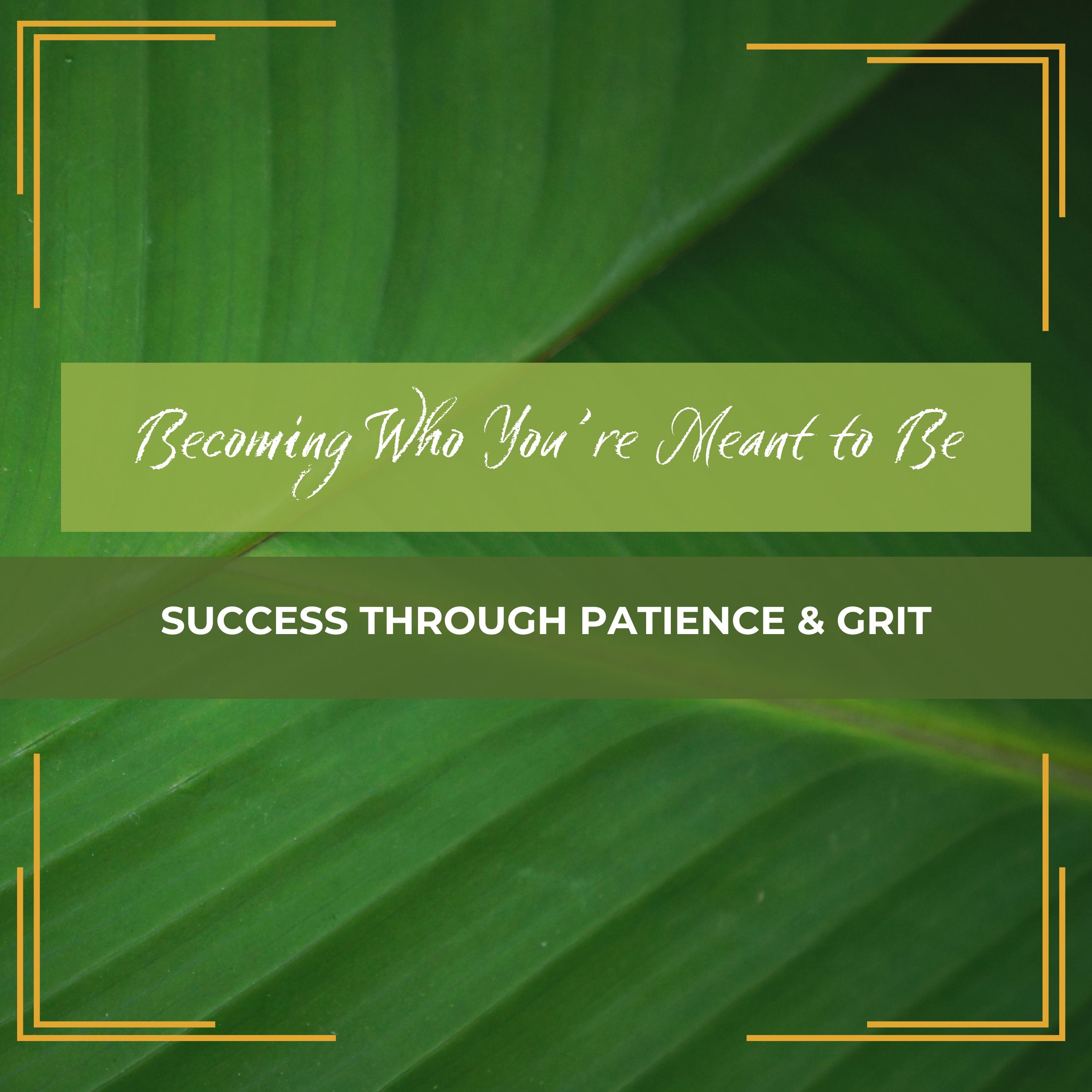 Casual Conversations | Becoming Who You’re Meant to Be: Success Through Patience & Grit episode artwork