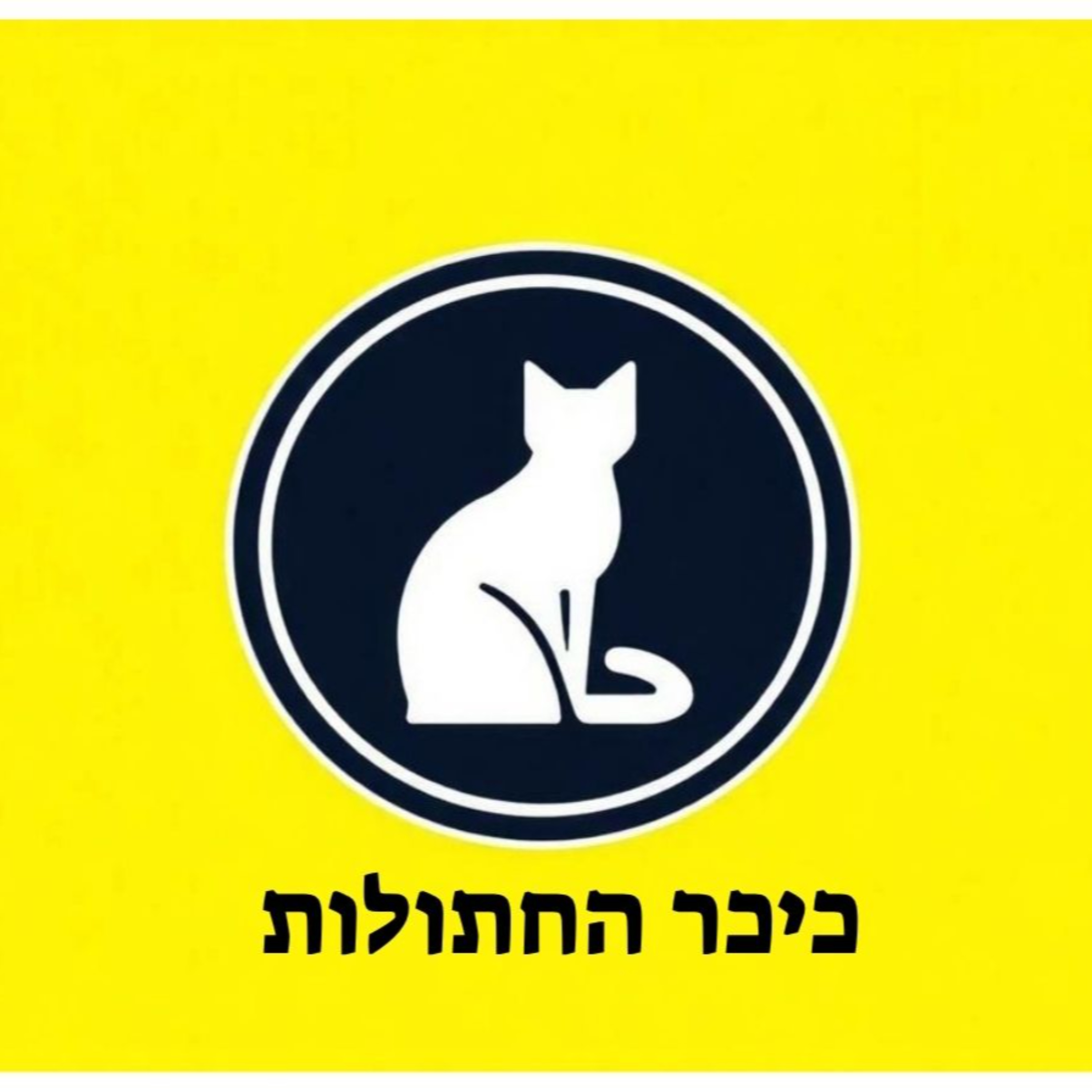 כיכר החתולות cover art