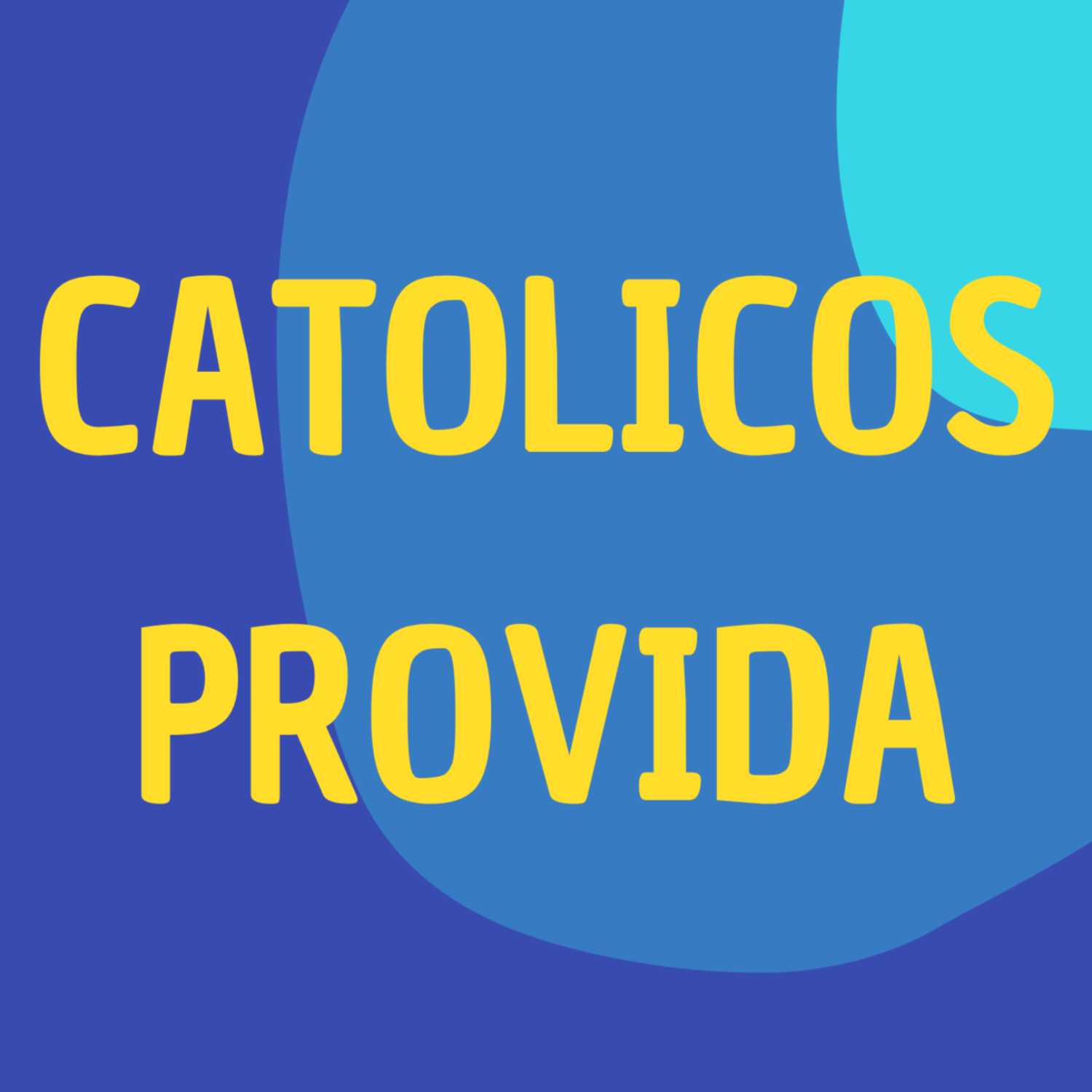 El Aborto y las elecciones