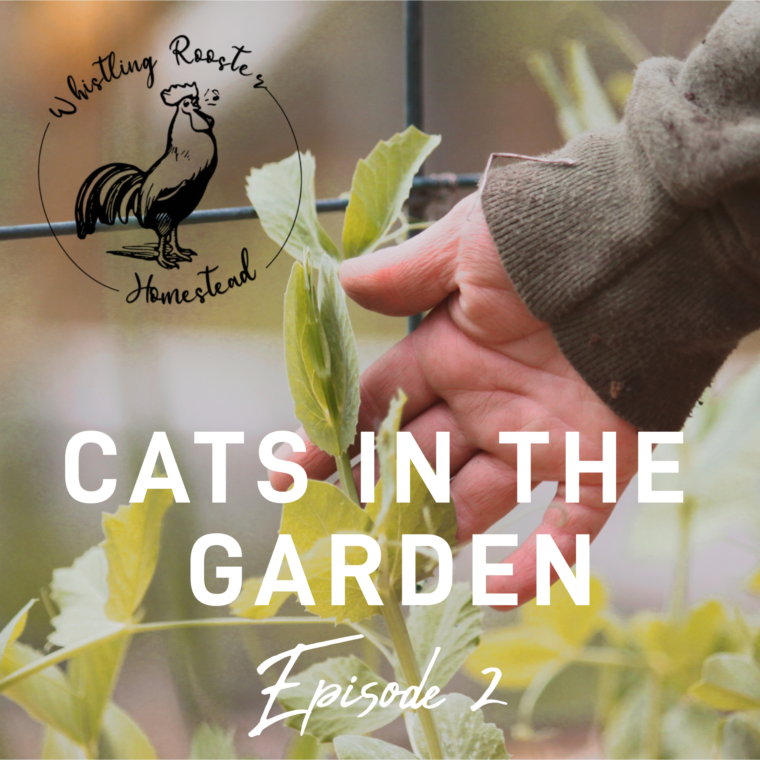 Episode 2 - USDA Growing Zones