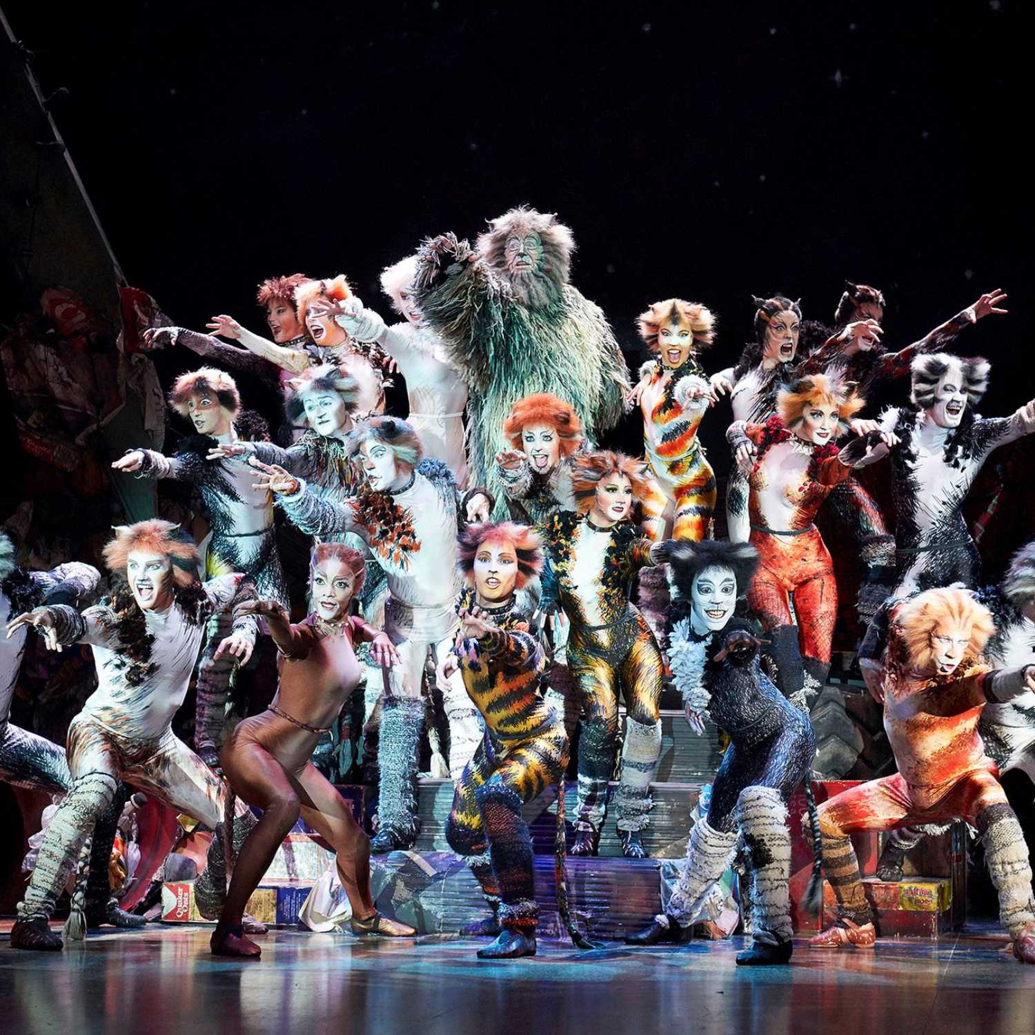 Cats 1998