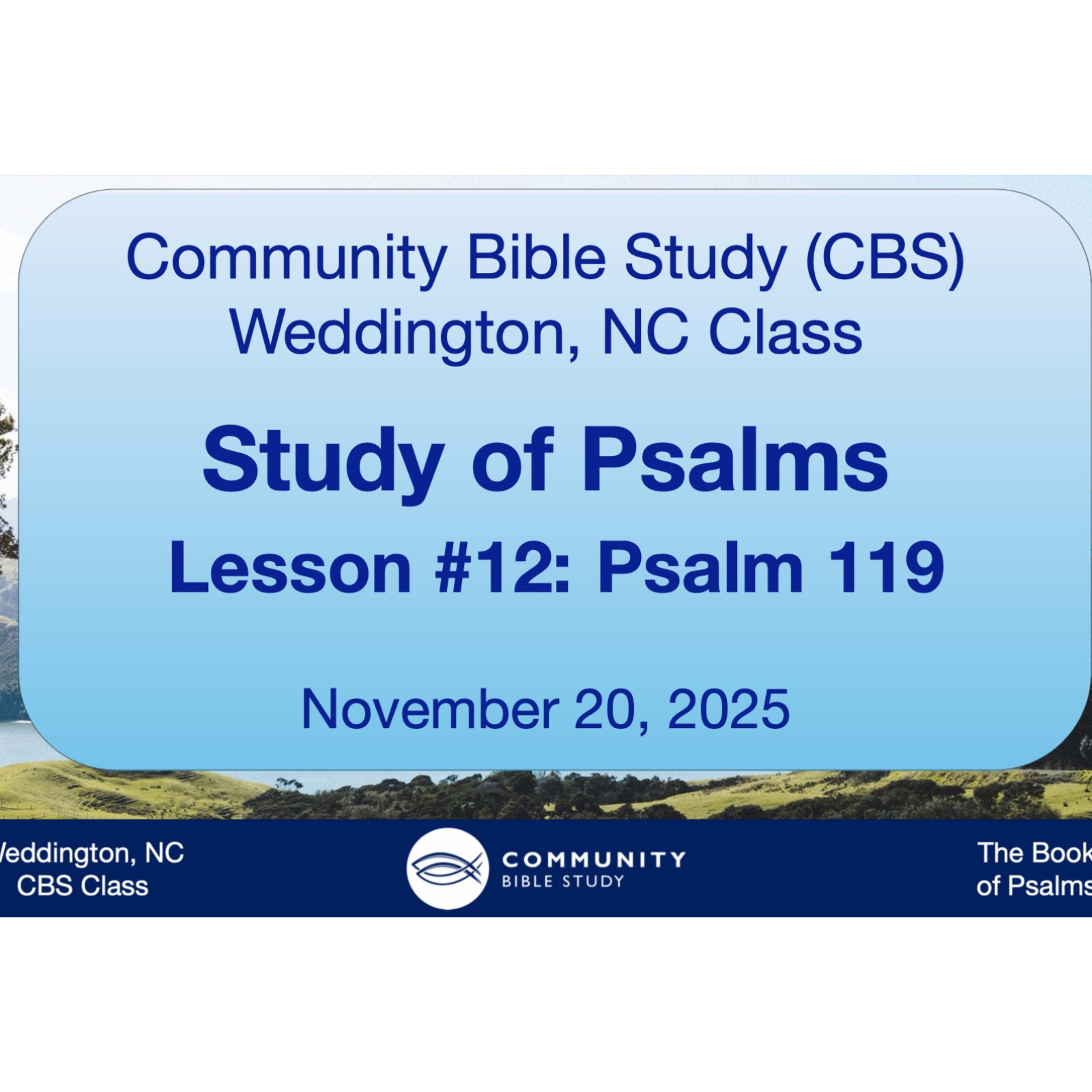CBS Weddington, NC - Psalms Lesson #12 - Psalm 119 episode artwork