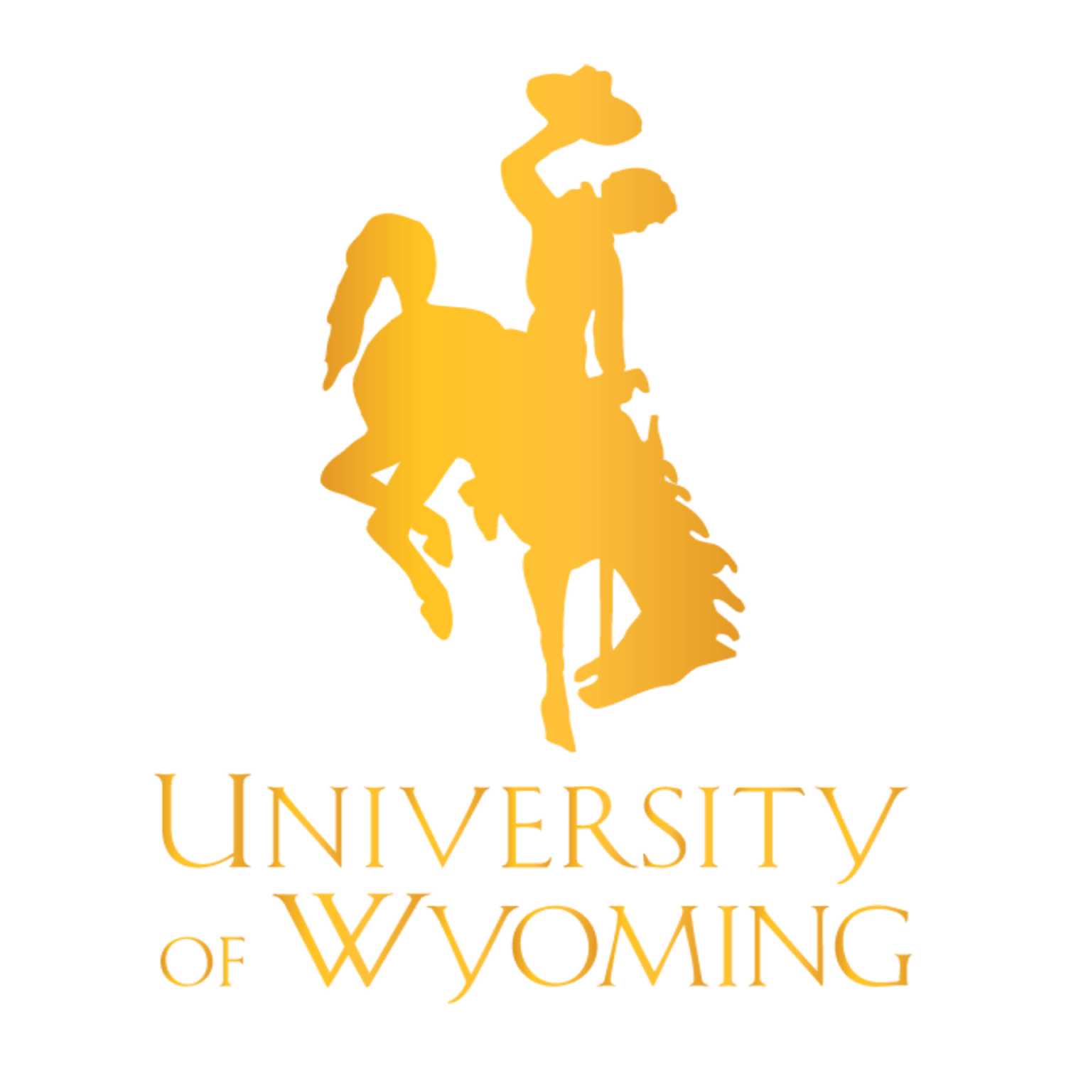 Cowboy Coaching Podcast