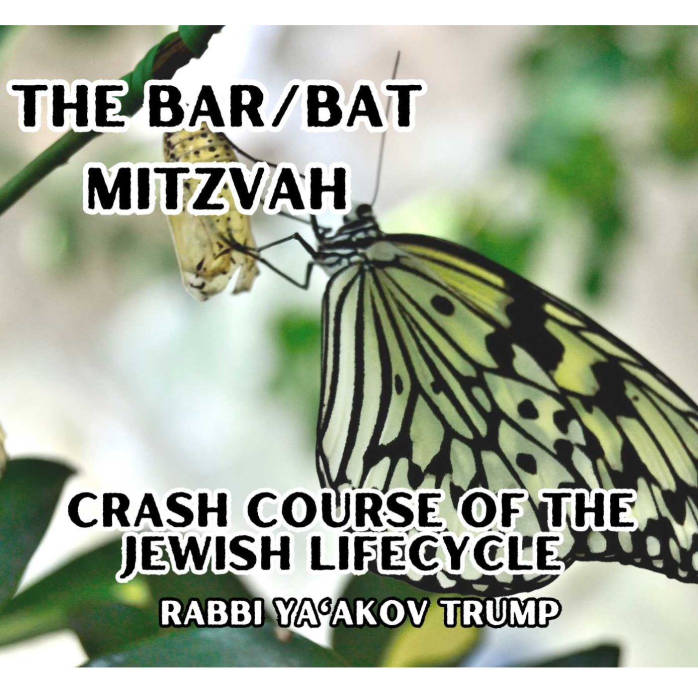 The Bar/Bat Mitzvah episode artwork