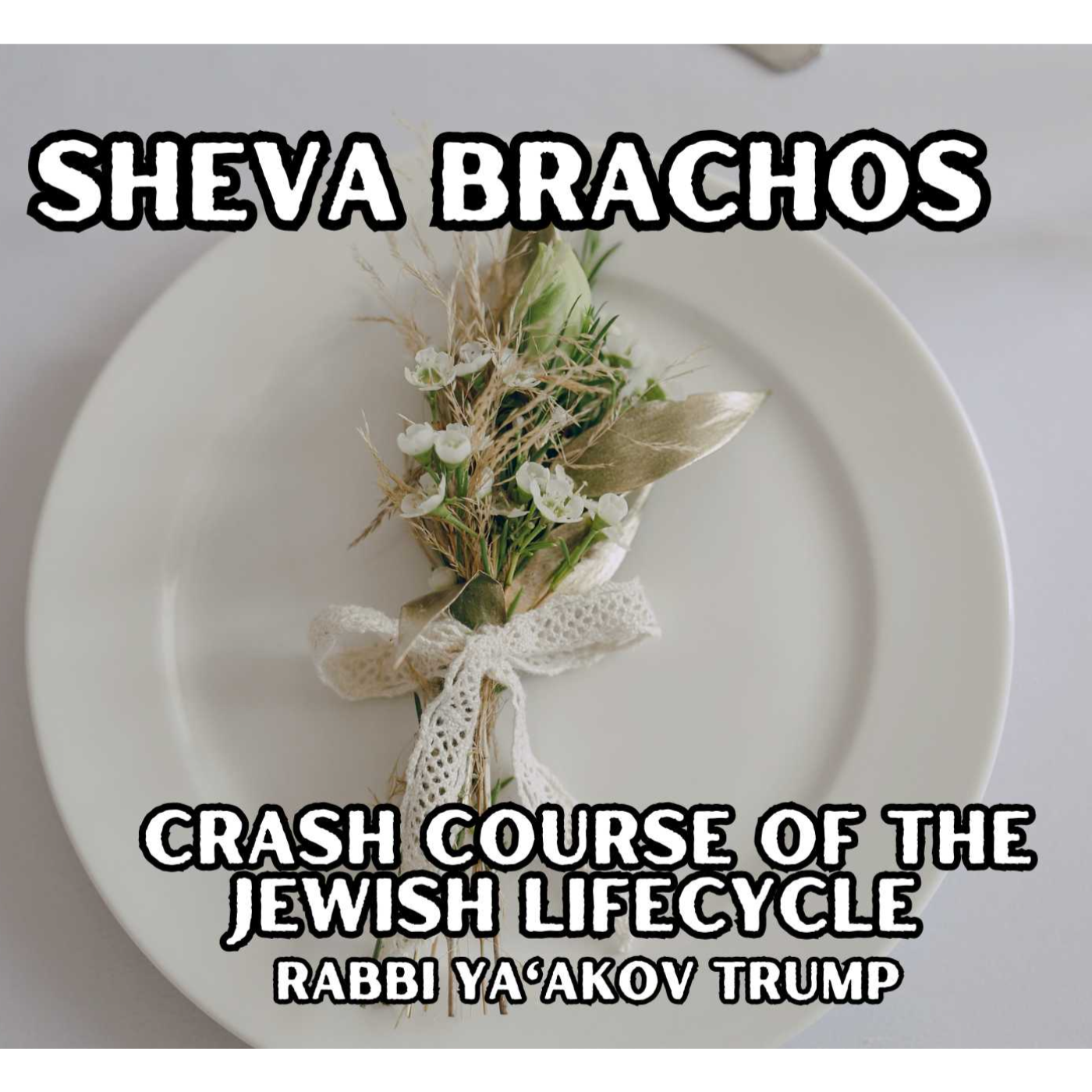 Sheva Brachos episode artwork