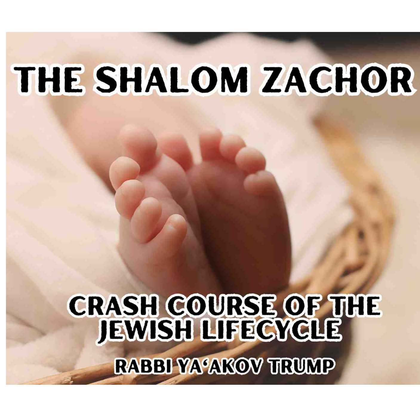 The Shalom Zachor episode artwork