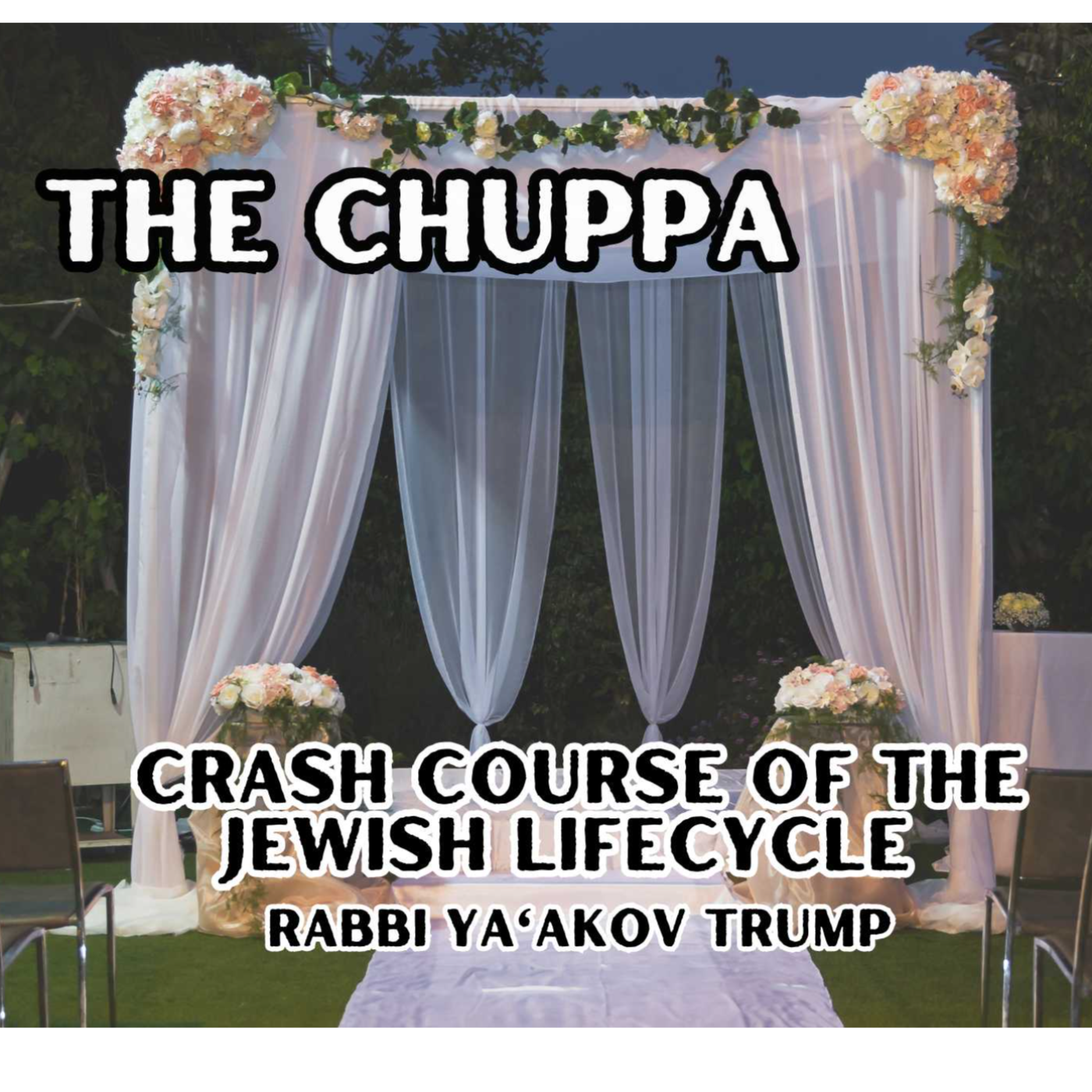 The Chuppa episode artwork