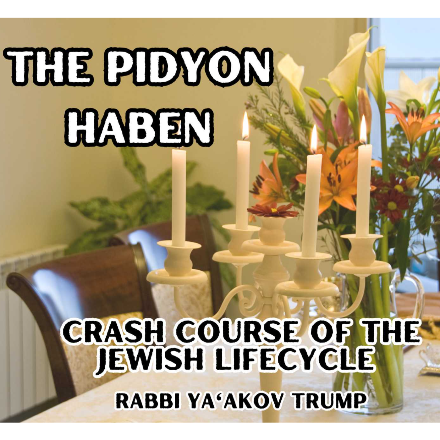 The Pidyon Haben episode artwork