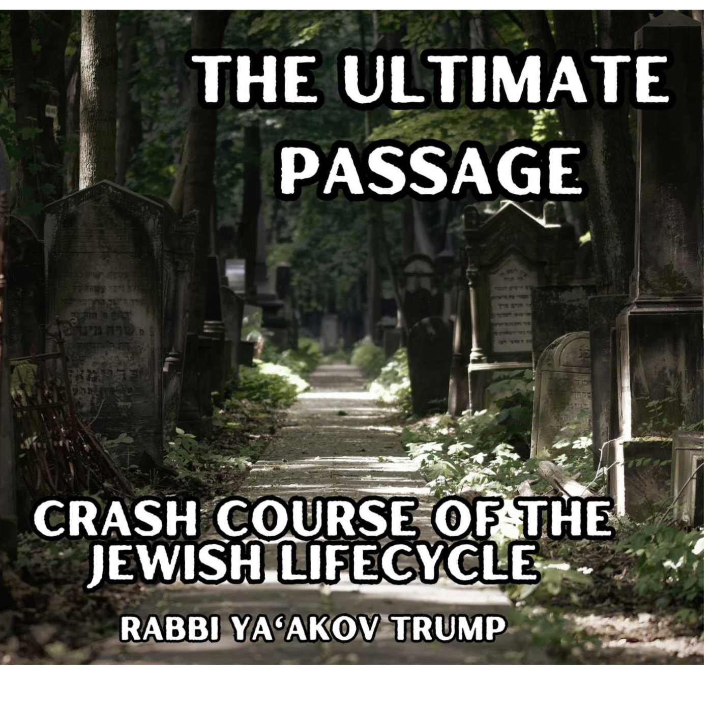 The Ultimate Passage episode artwork
