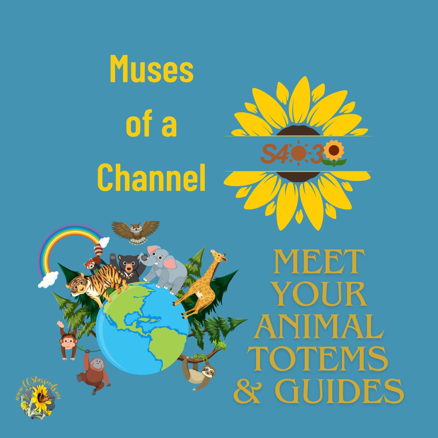 Muses of a Channel ~CCStarseeds