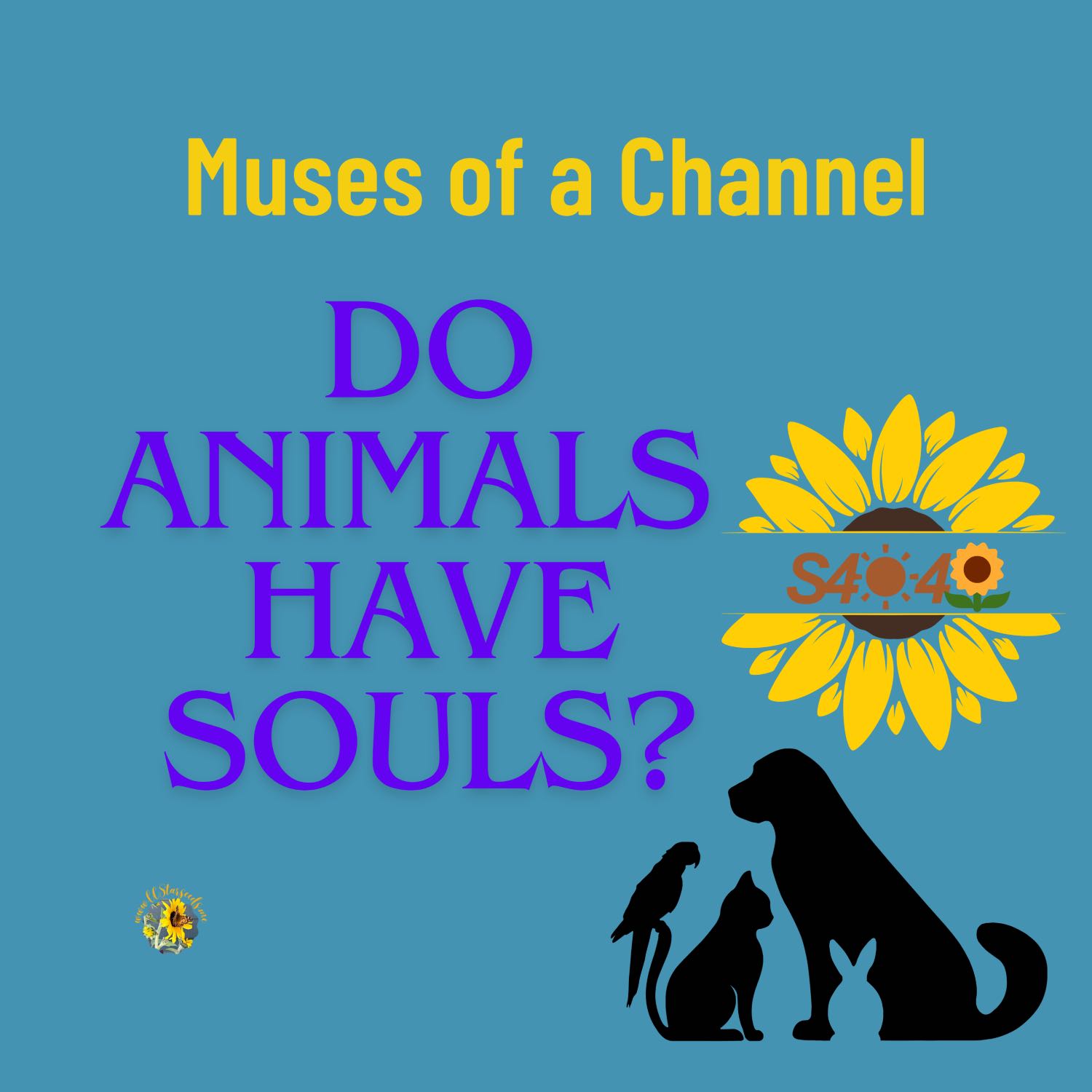Muses of a Channel ~CCStarseeds
