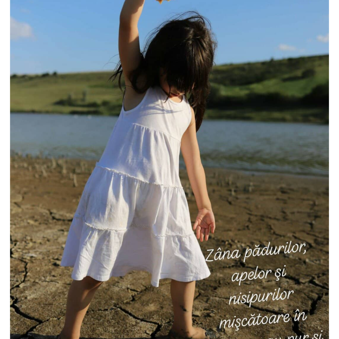 Ce vrei să faci în prezent?