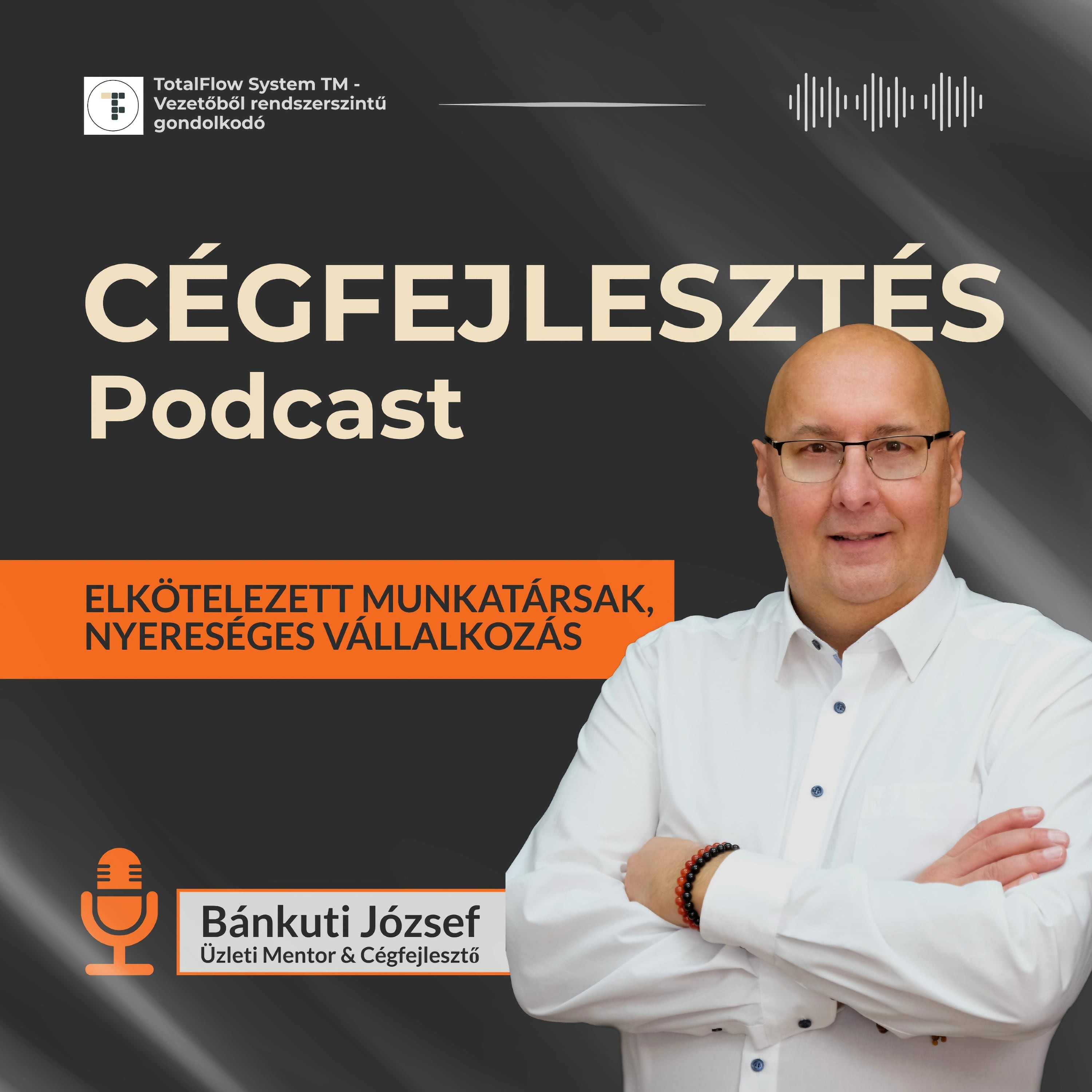 Cégfejlesztés Podcast