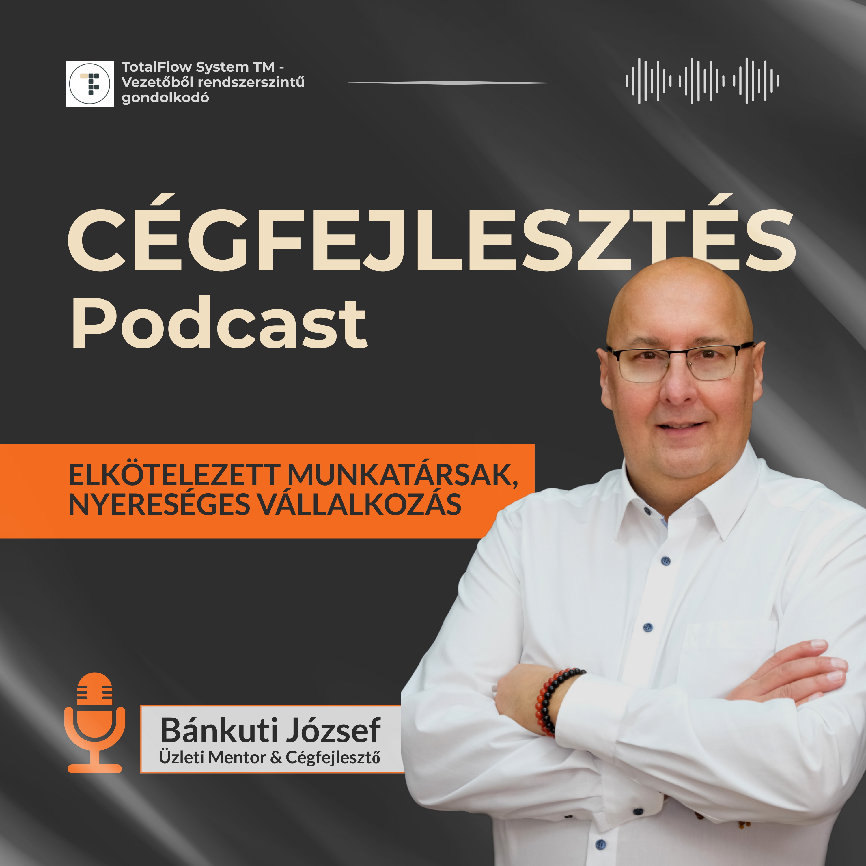 Megváltoztatja az AI a cégfejlesztést? episode artwork