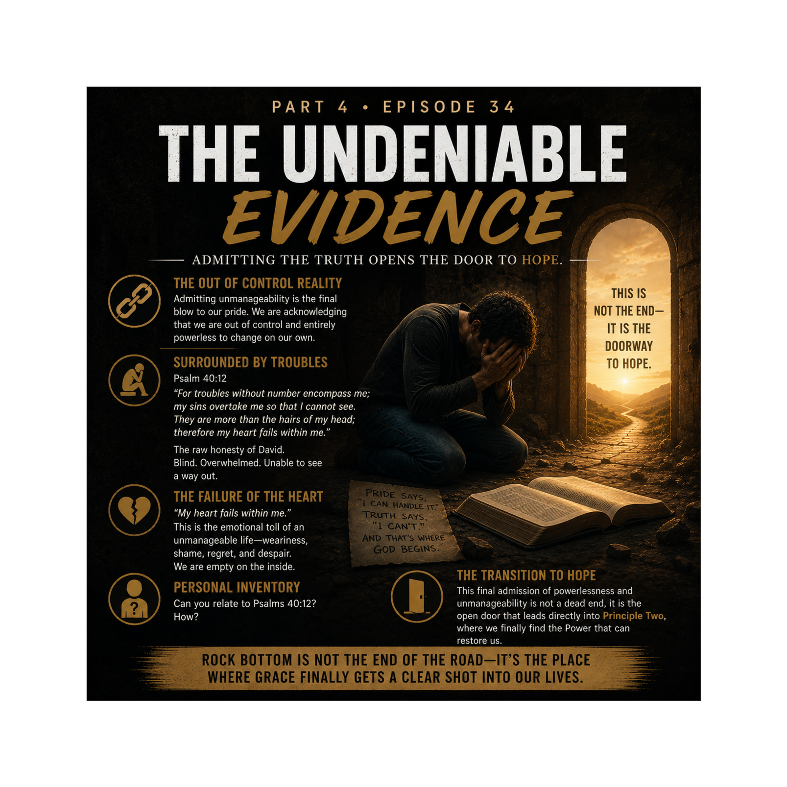 The Undeniable Evidence episode artwork