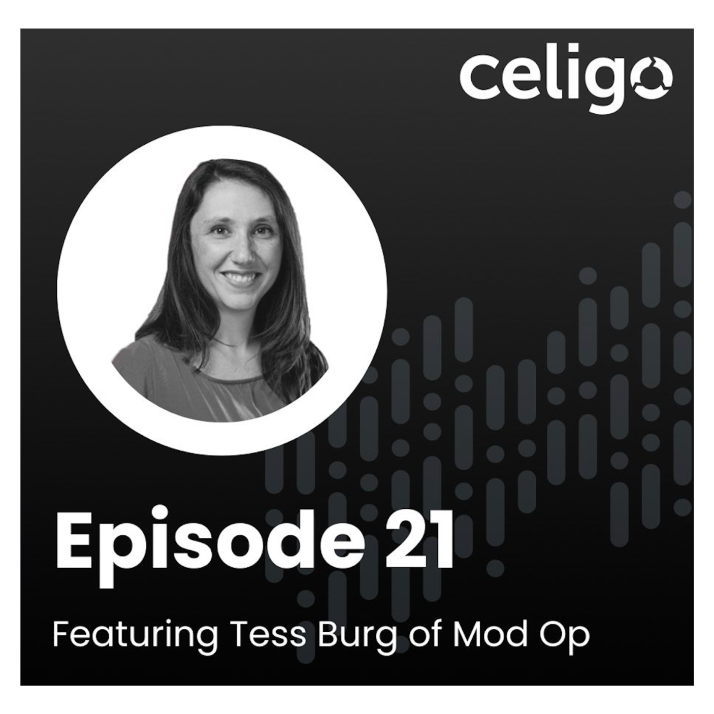 The Technology Leaders Podcast