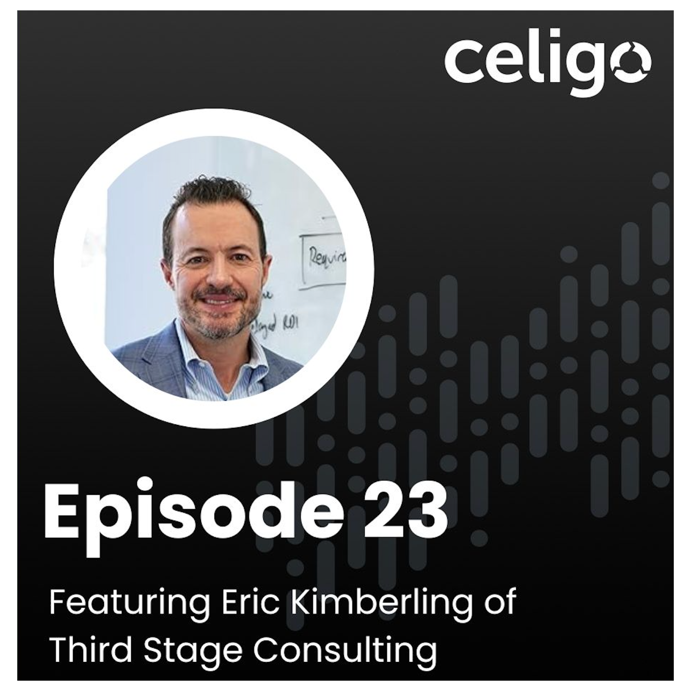 The Technology Leaders Podcast
