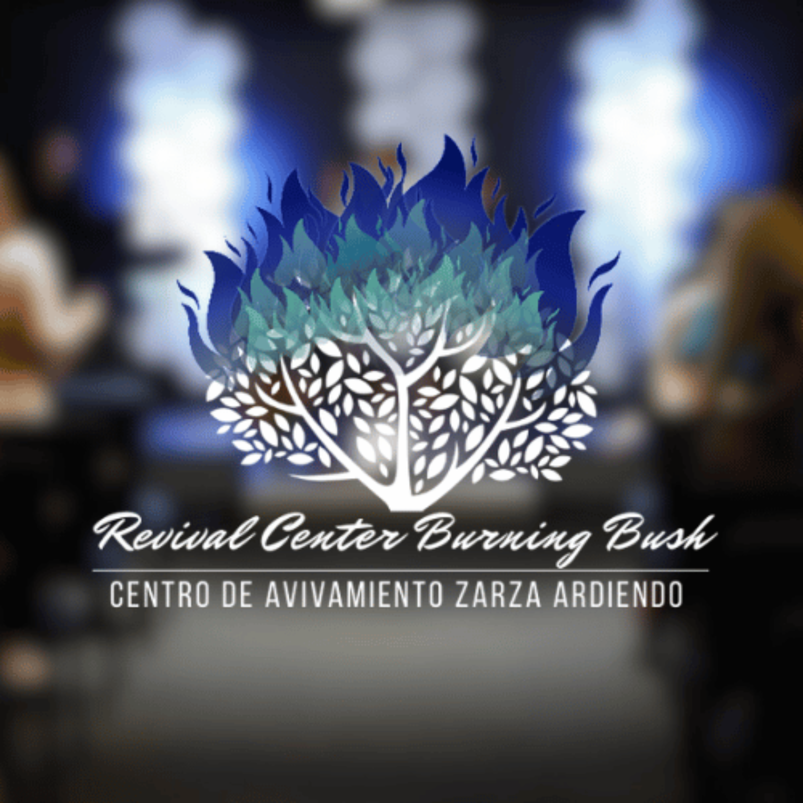 Pastor Eduardo Rosario - Llamado a Profetizar episode artwork