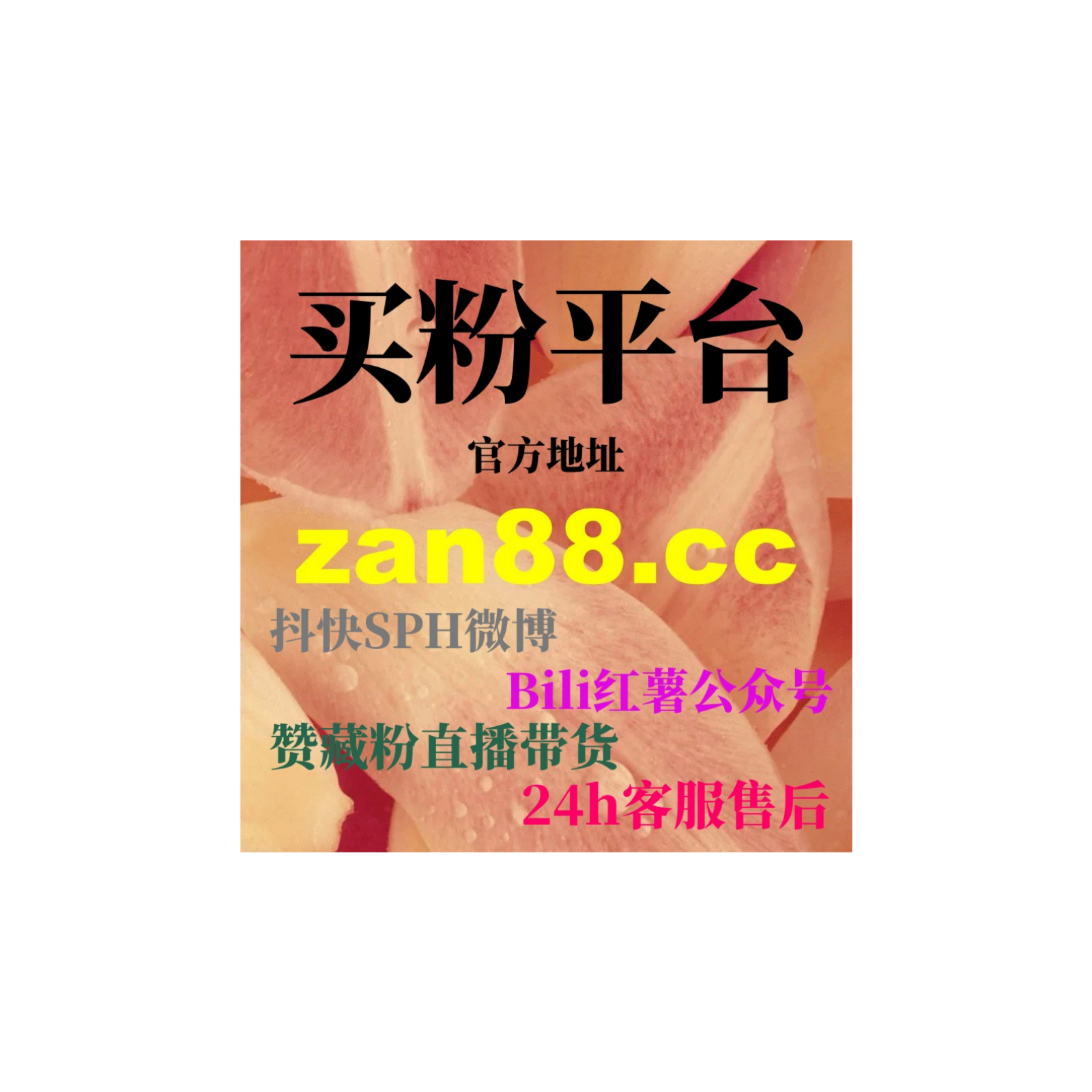 刷量网站风险提示：如何用合法策略提升TikTok短视频自然曝光