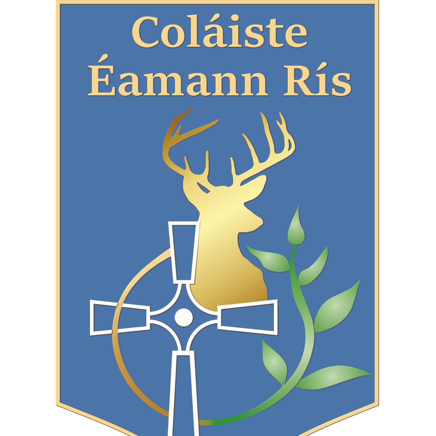CERtified Coláiste Éamann Rís Cork Podcast