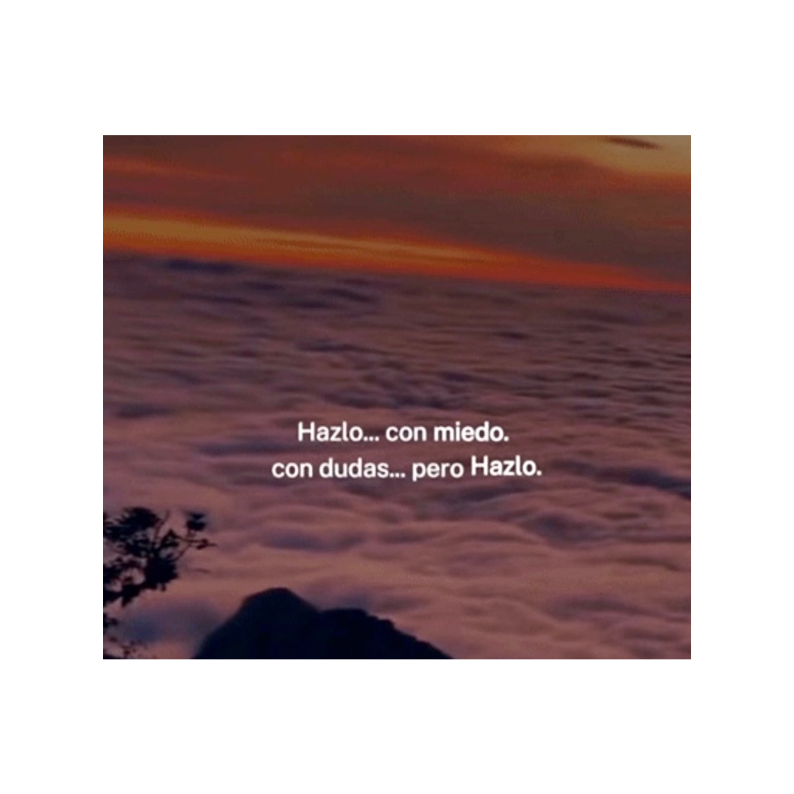 SIN MIEDO AL MIEDO cover art