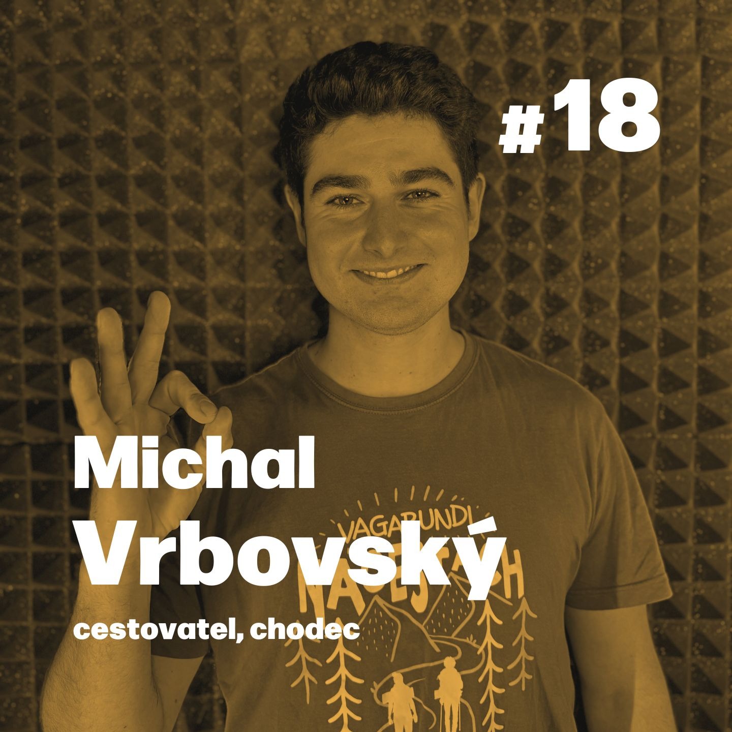 PŘEŠEL 4000 KM PĚŠKY EVROPOU! 🚶‍♂️| Michal Vrbovský  episode artwork