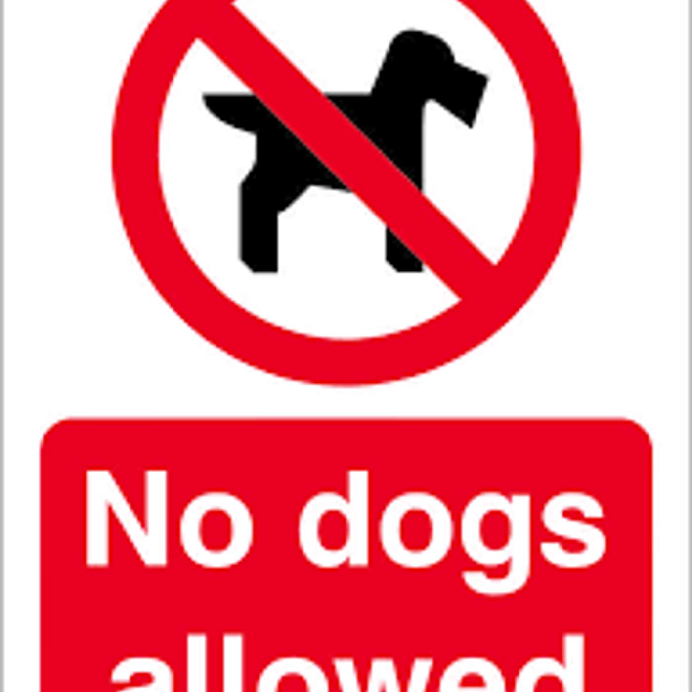 Dog Days Are Over