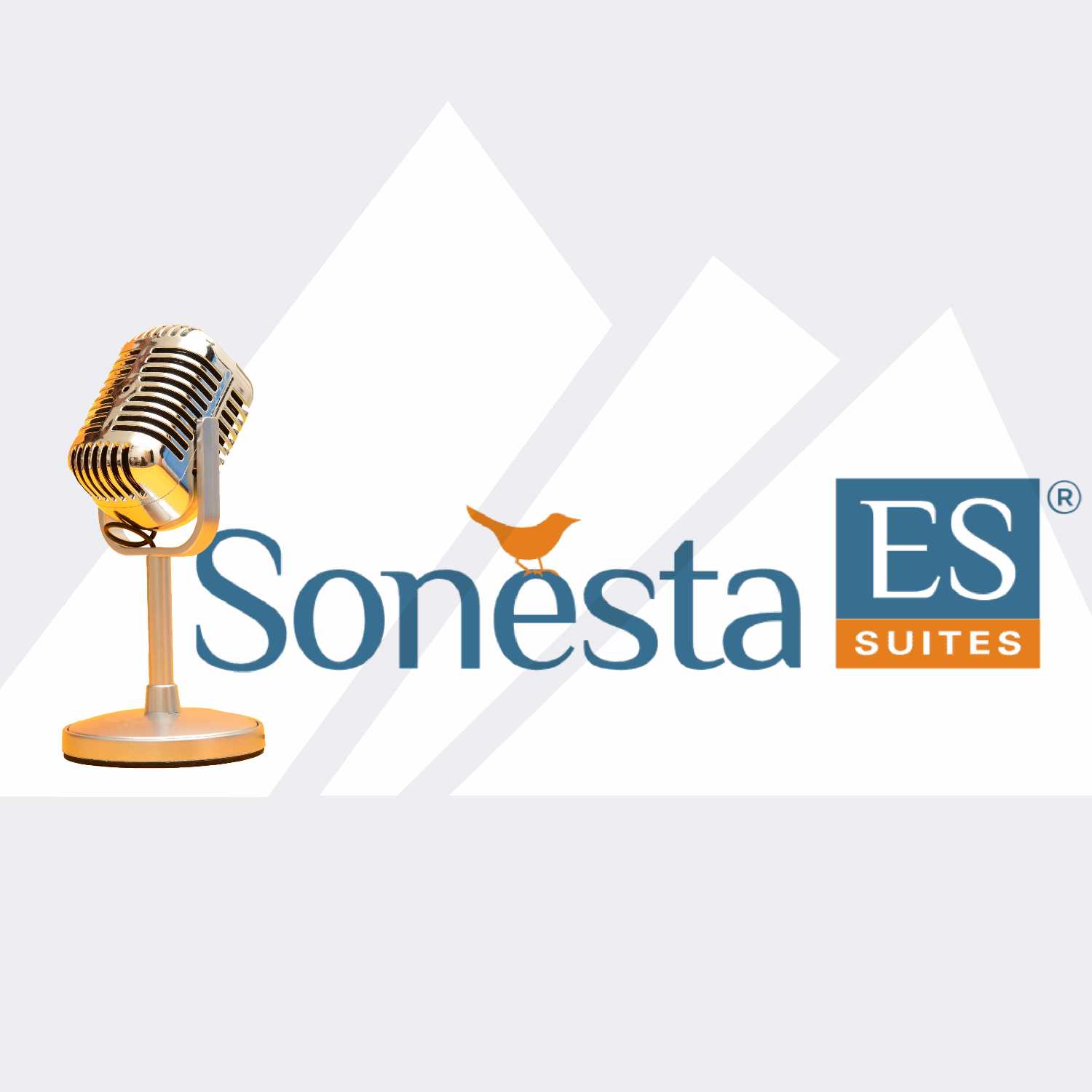 Sonesta ES Suites