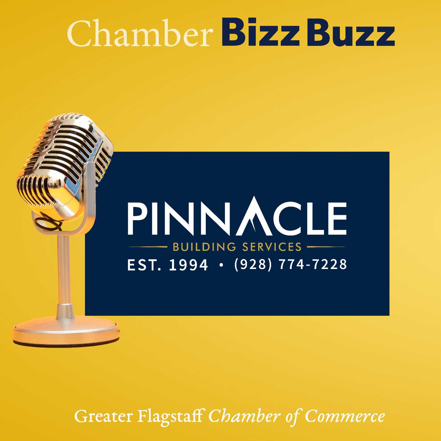 Pinnacle Building Services