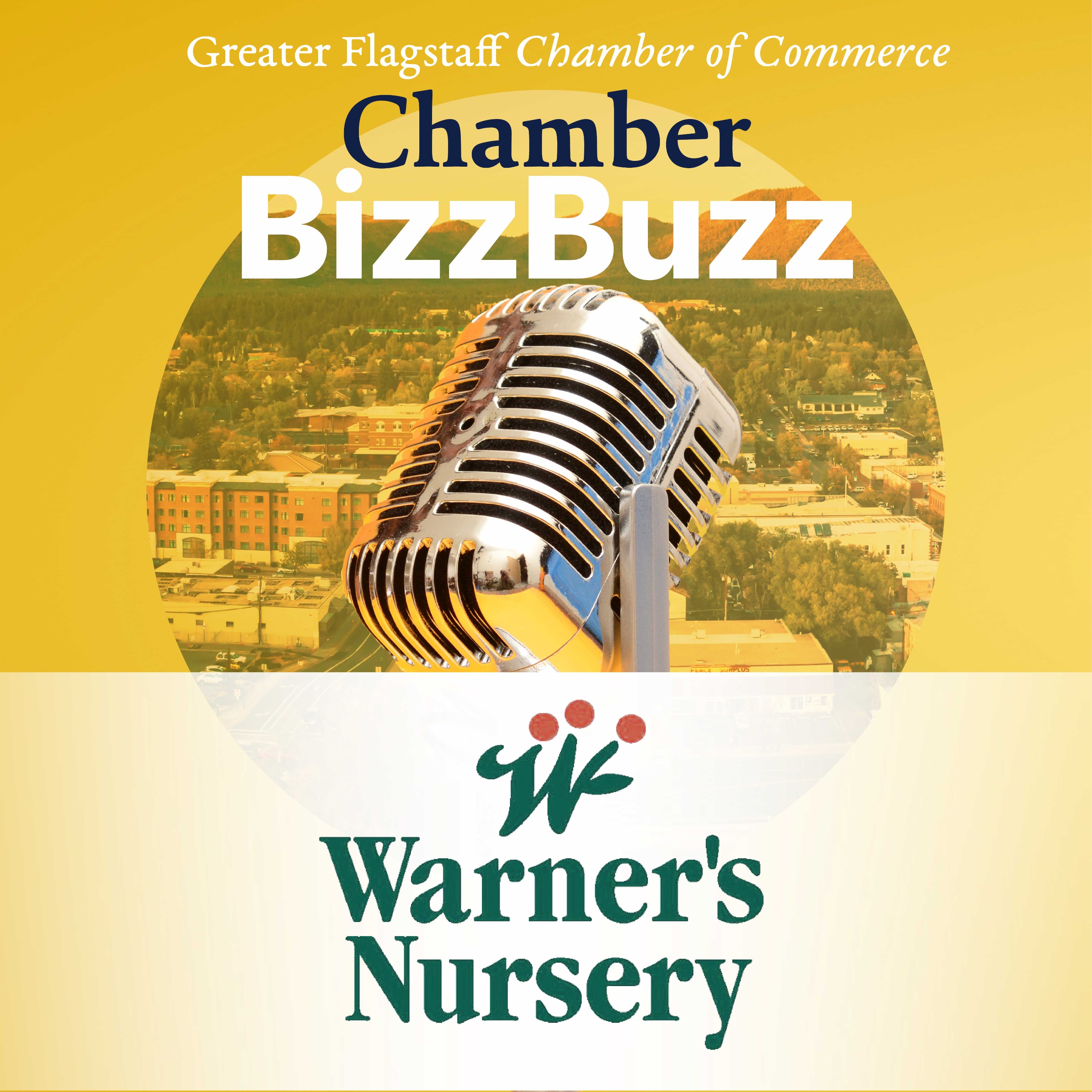 Chamber Bizz Buzz