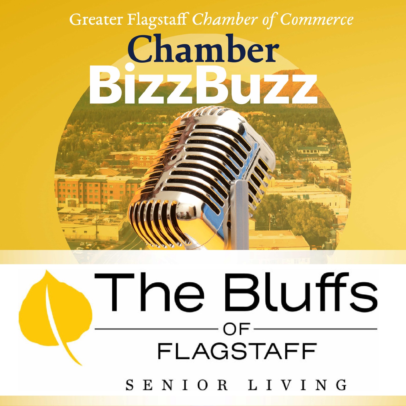 The Bluffs of Flagstaff Senior Living with Andy Auteri