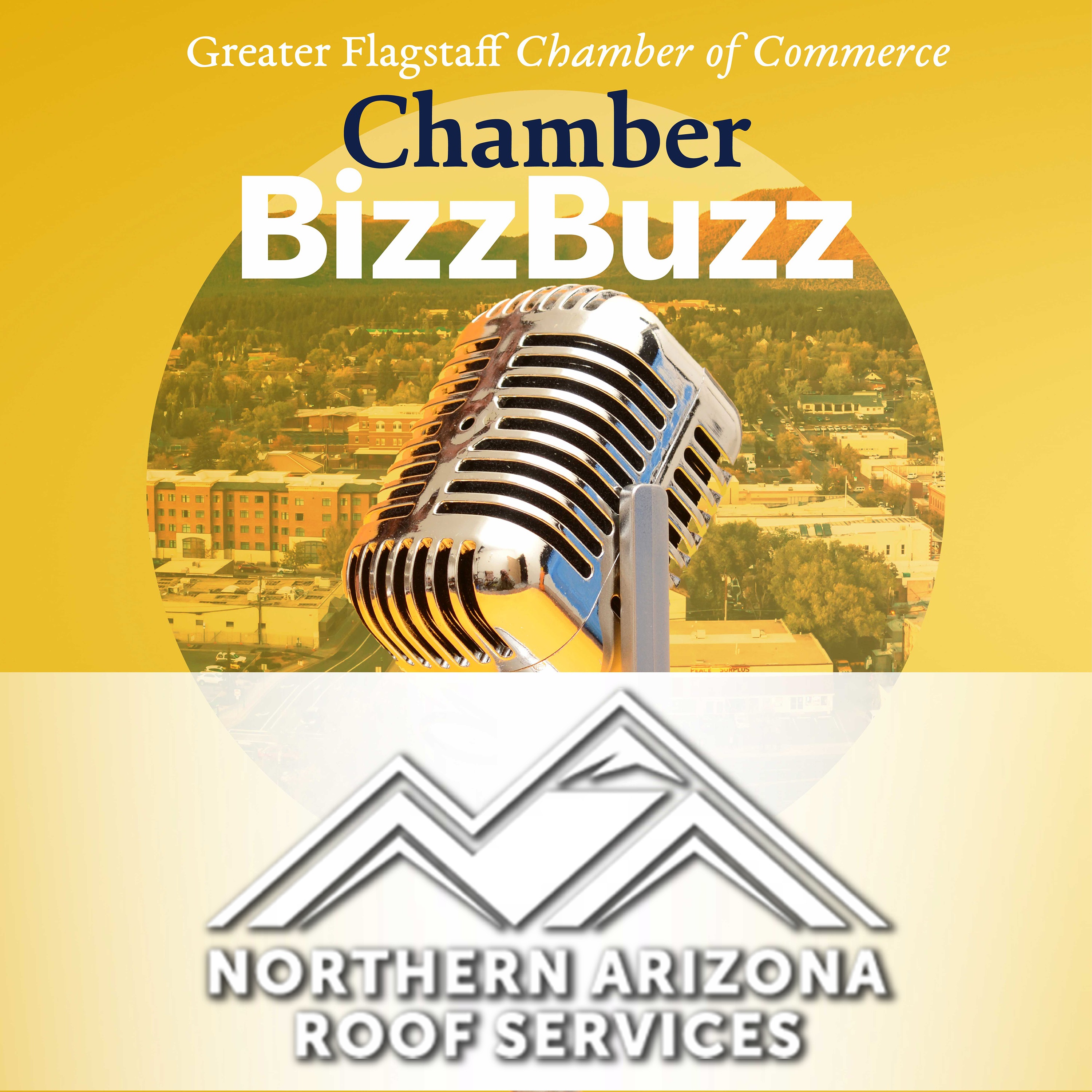 Chamber Bizz Buzz