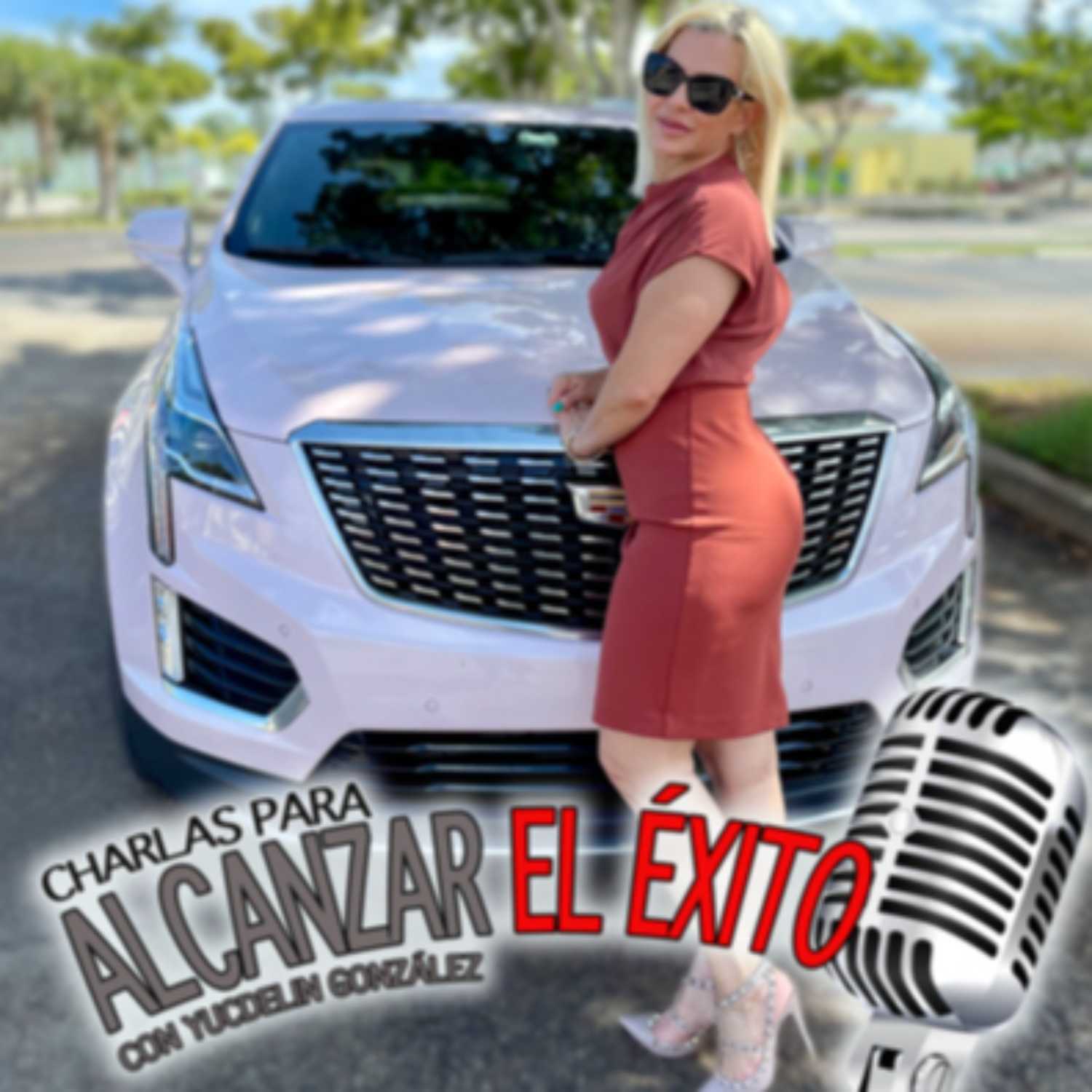 Charlas para Alcanzar el Éxito